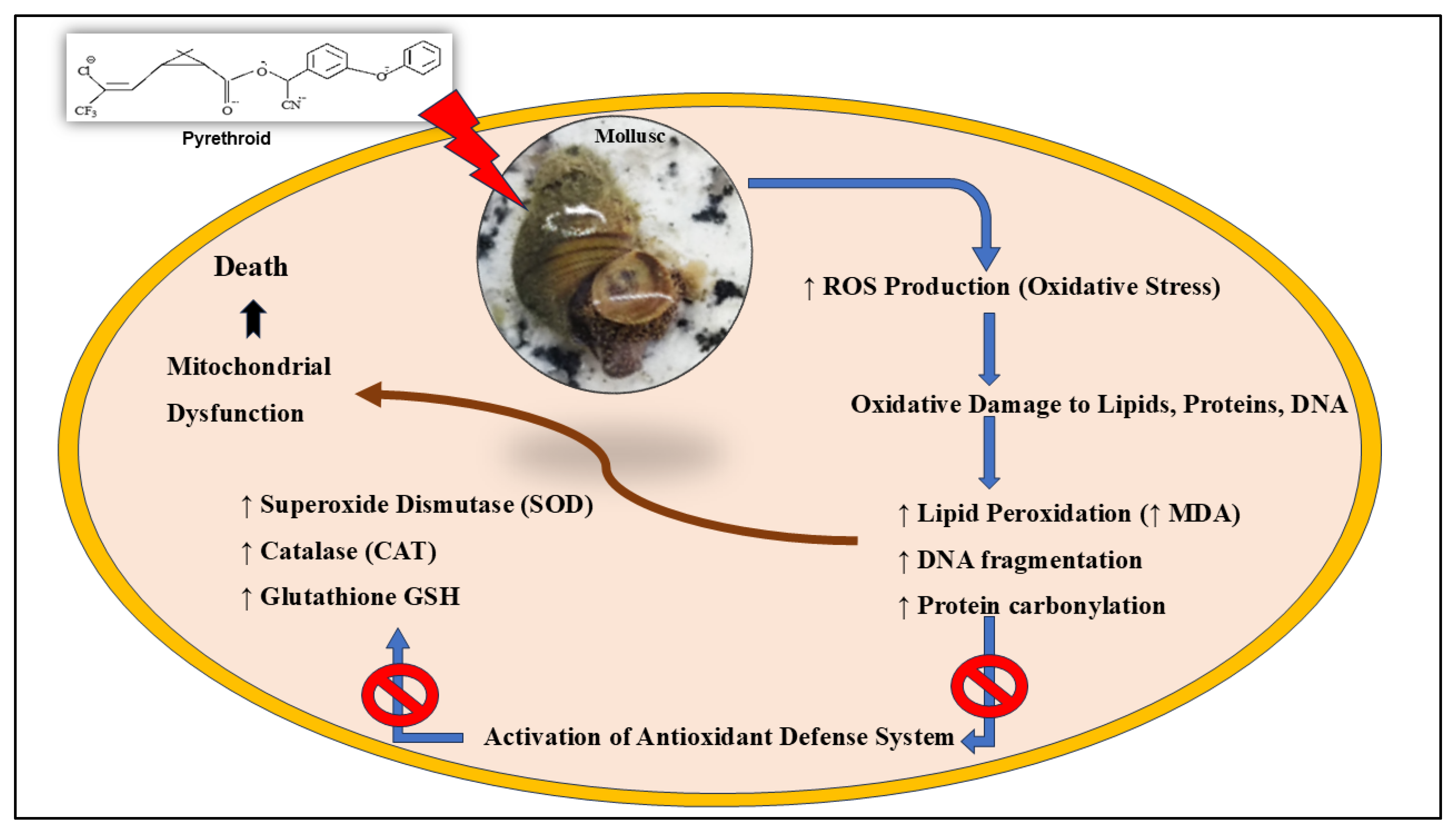 Preprints 201930 g002