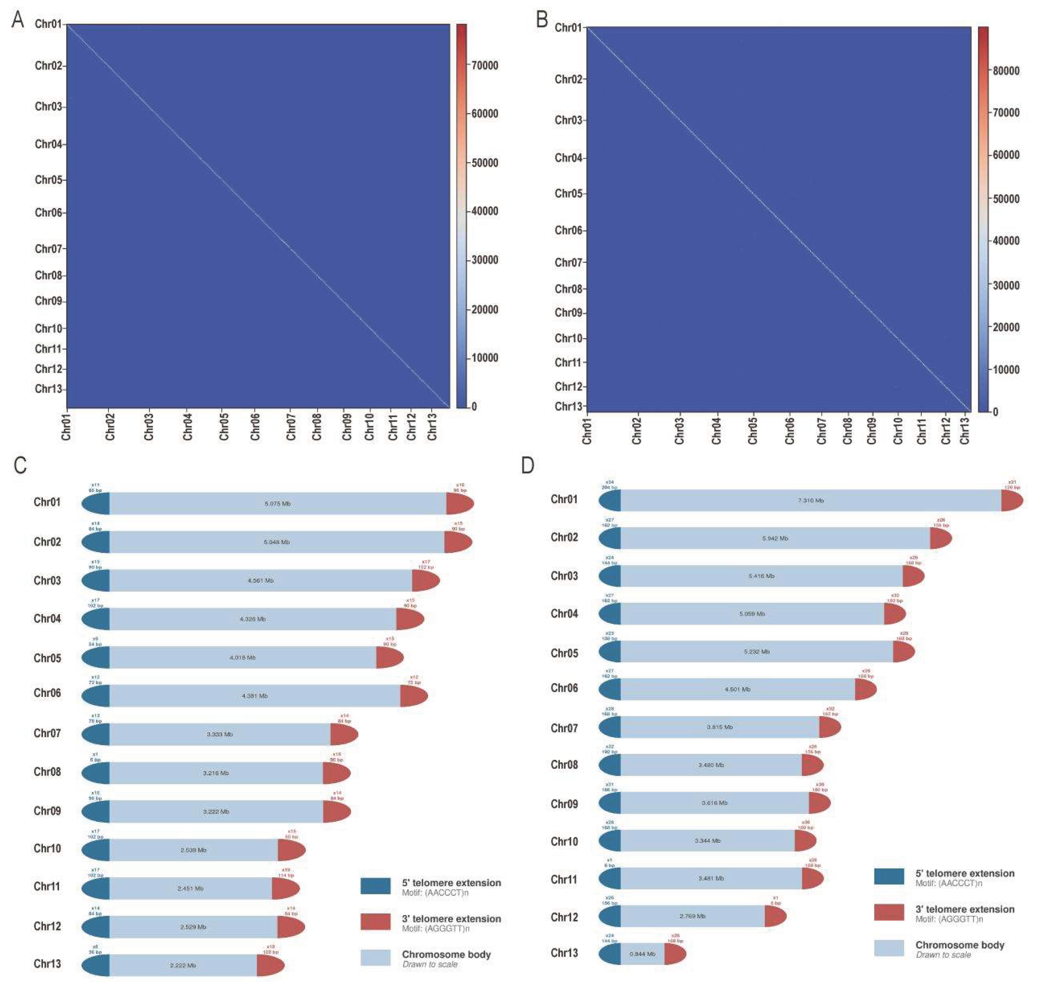 Preprints 224587 g001 Preprints 224587 g001