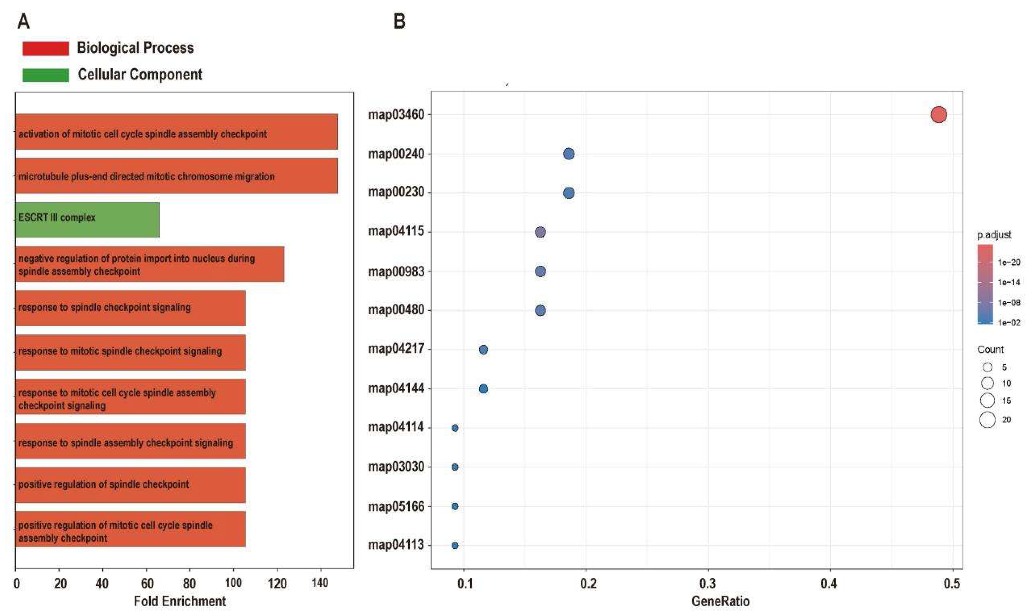 Preprints 224587 g005 Preprints 224587 g005
