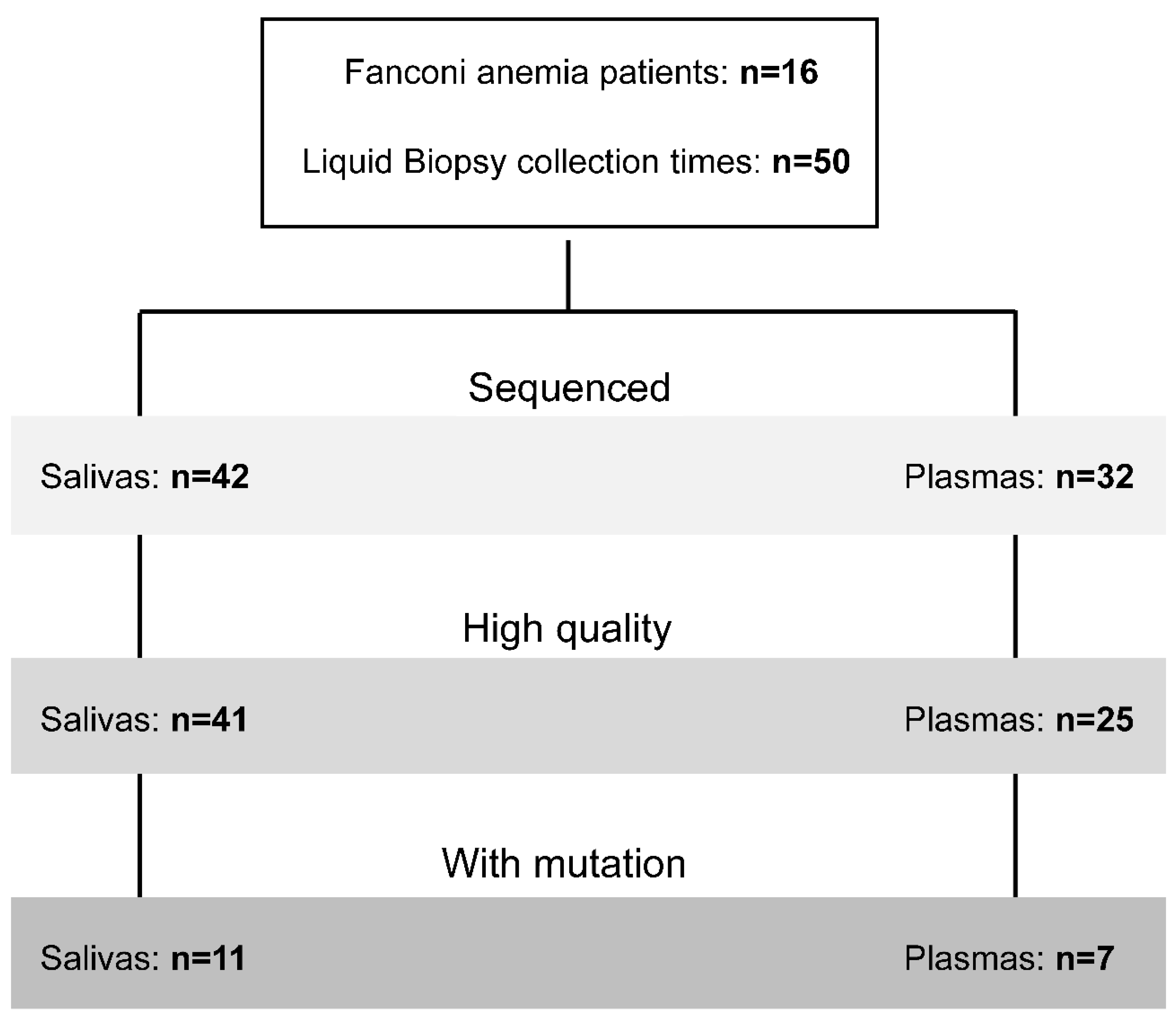 Preprints 67451 g001