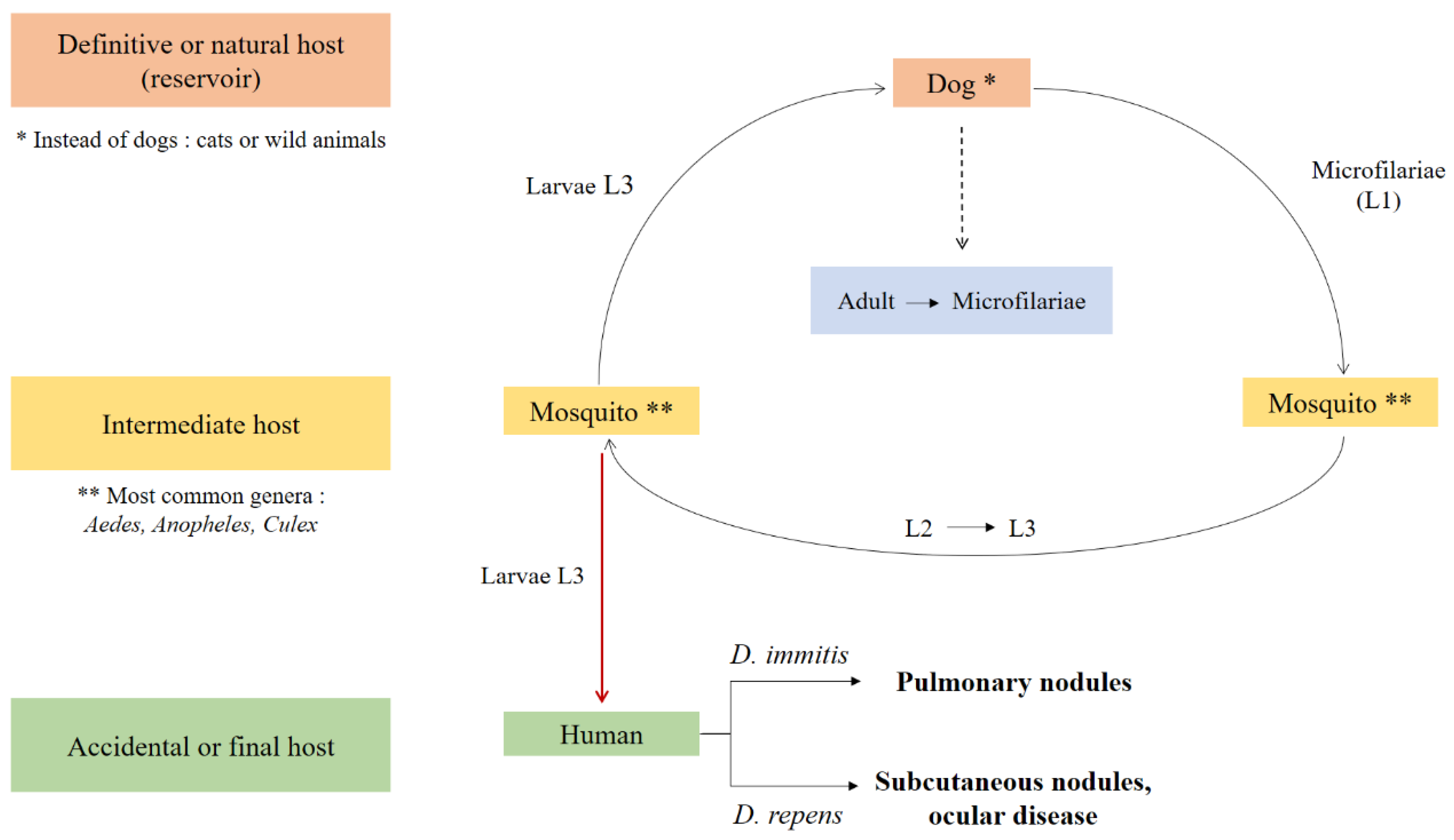 Preprints 164856 g001