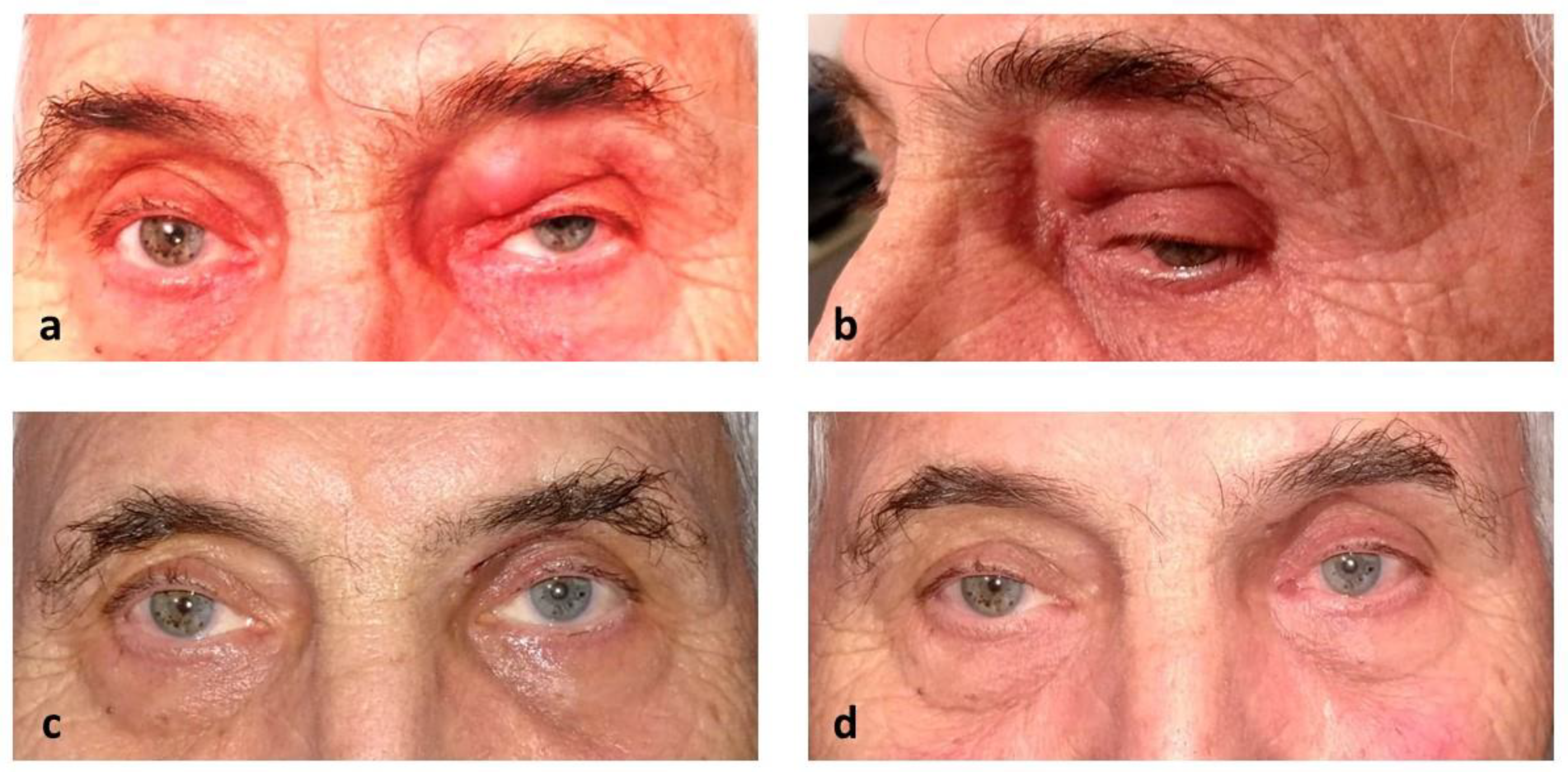 Preprints 164856 g002