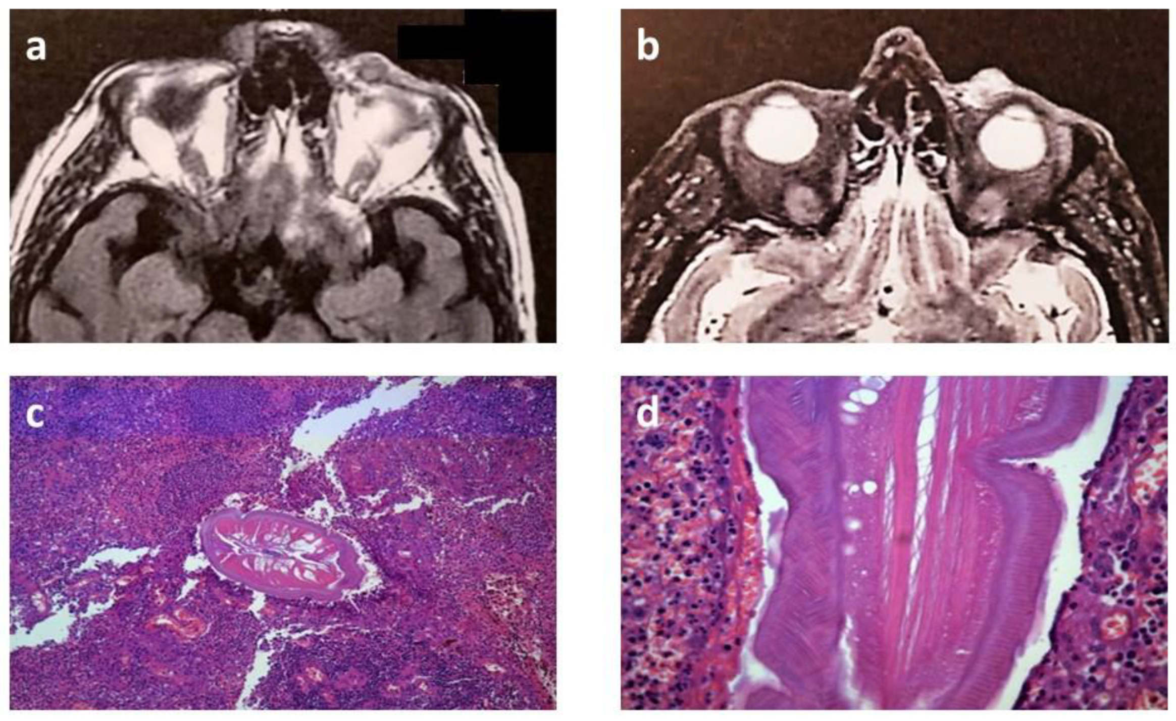Preprints 164856 g003