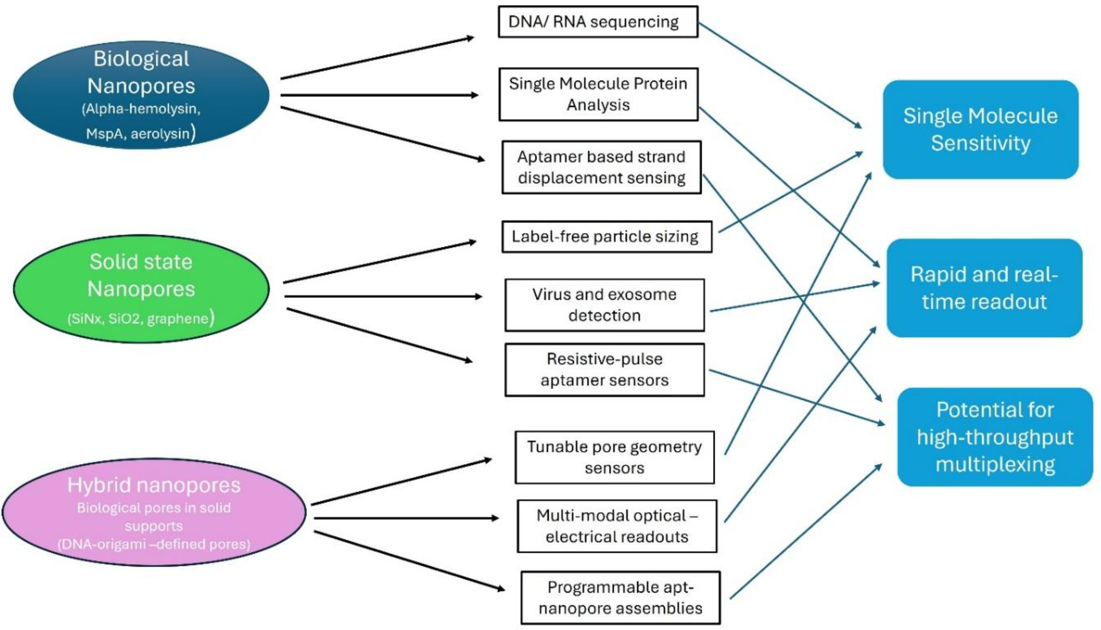 Preprints 189879 g001