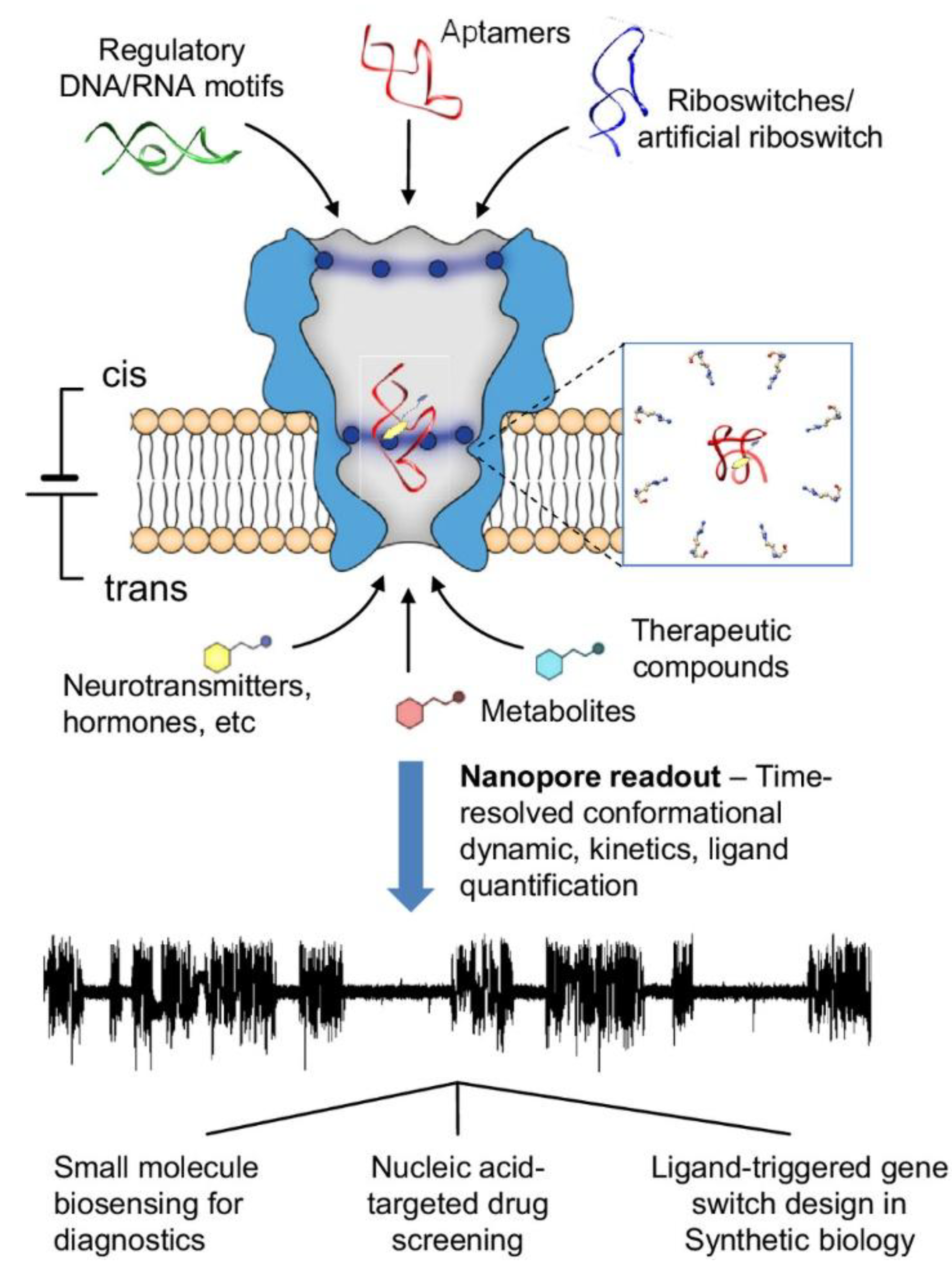 Preprints 189879 g002