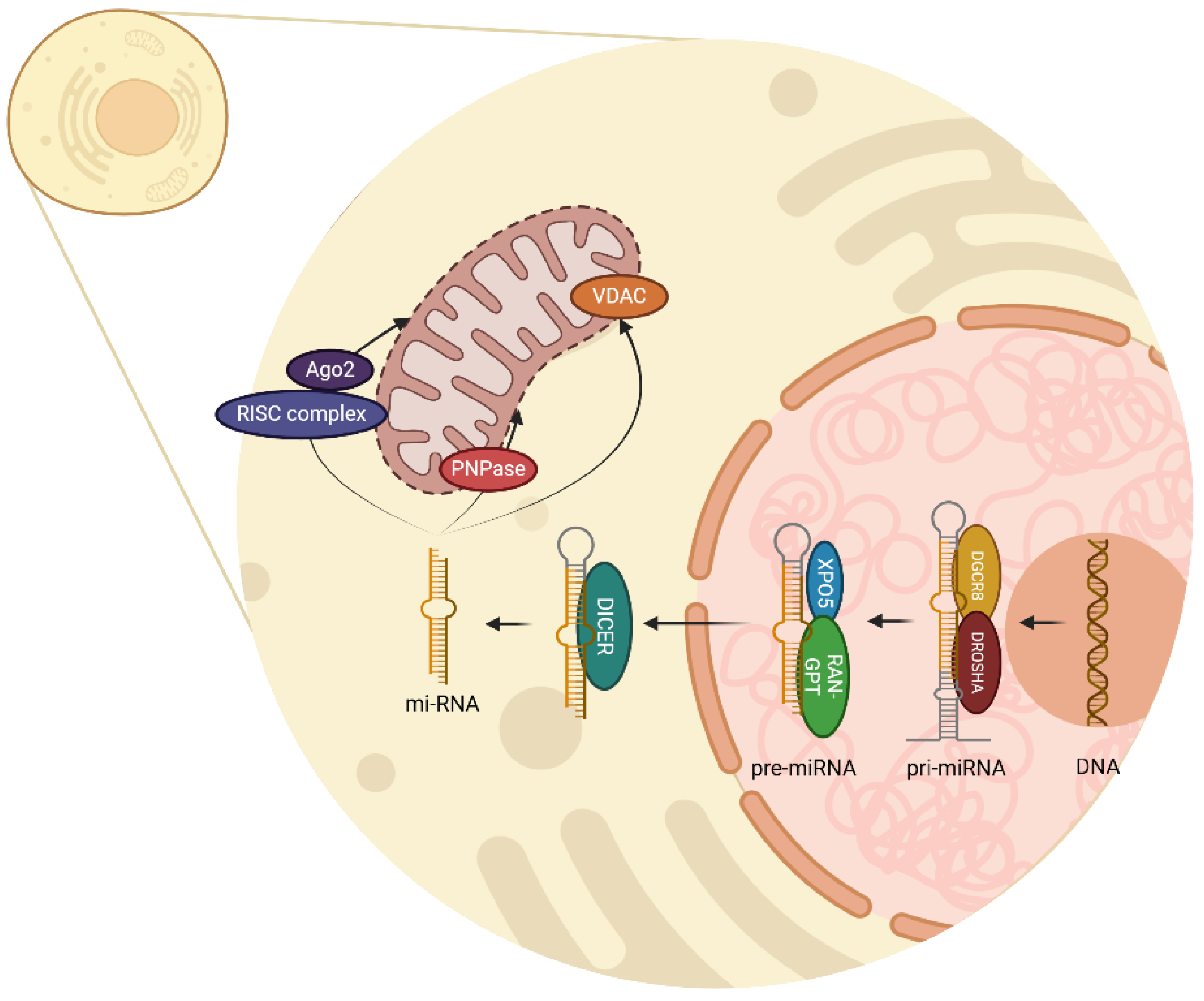 Preprints 147751 g001