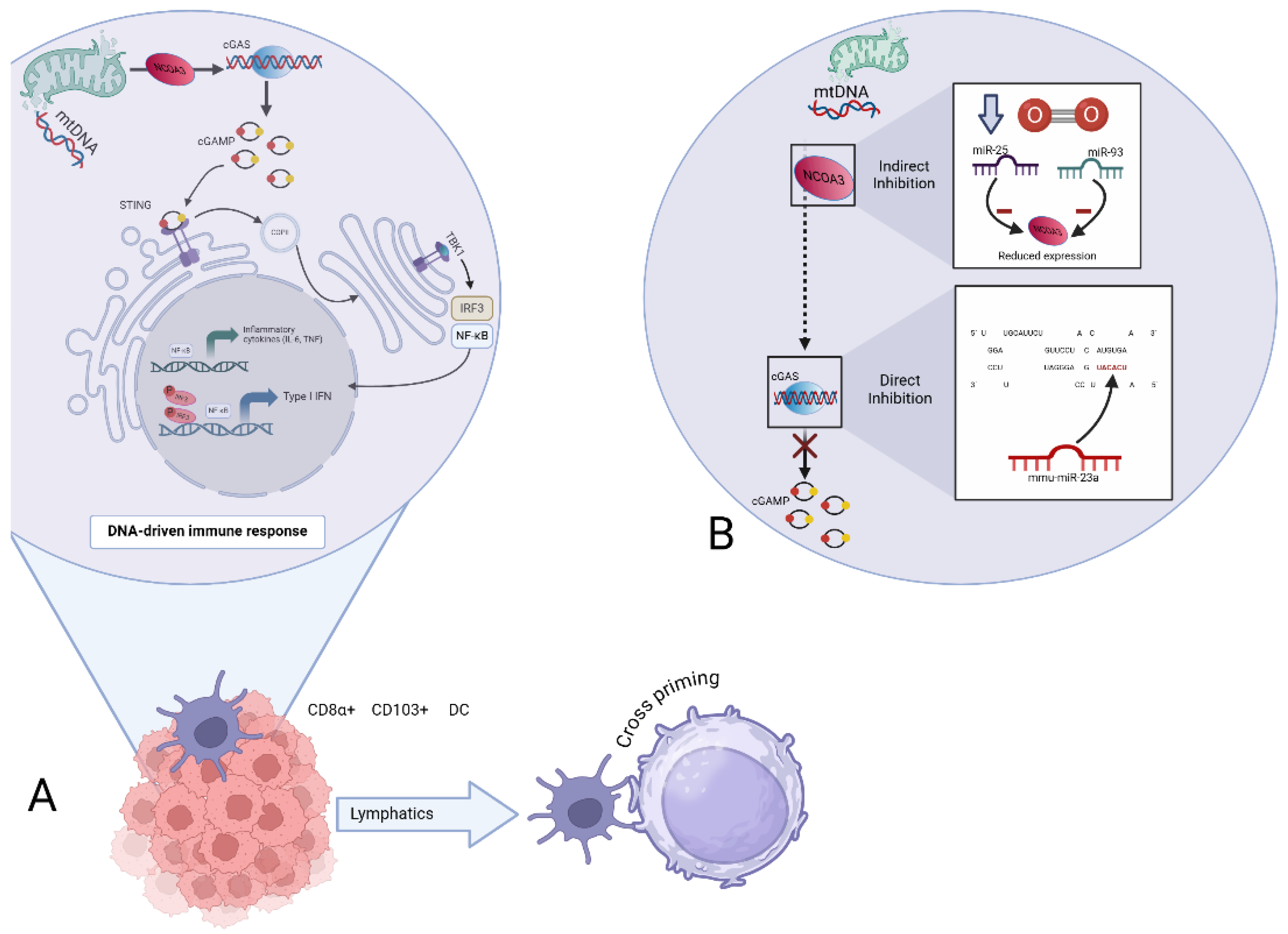 Preprints 147751 g002
