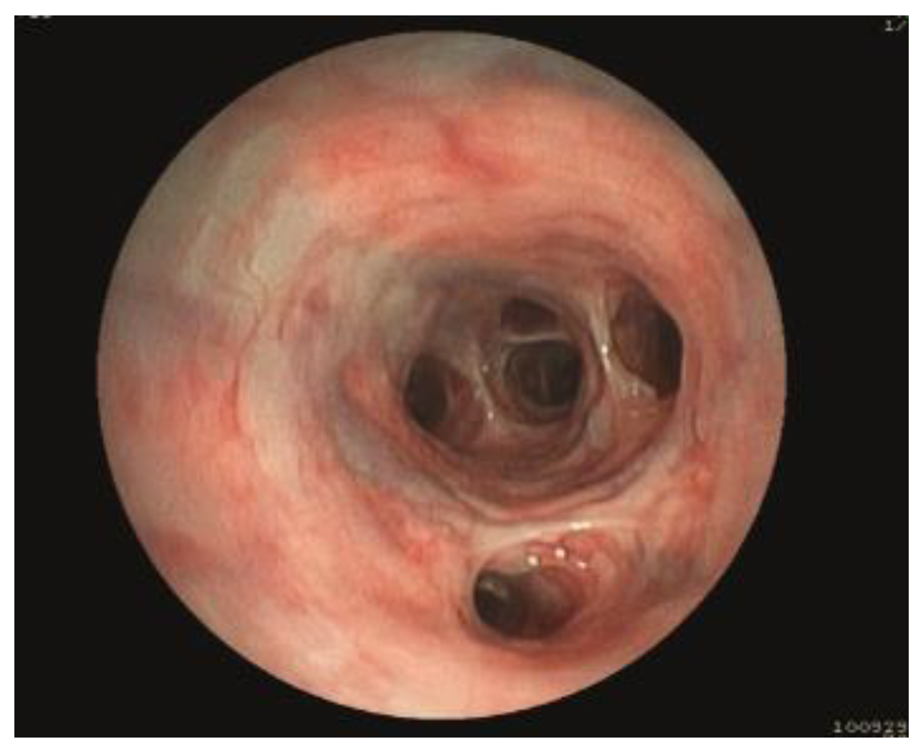 Preprints 157441 g001