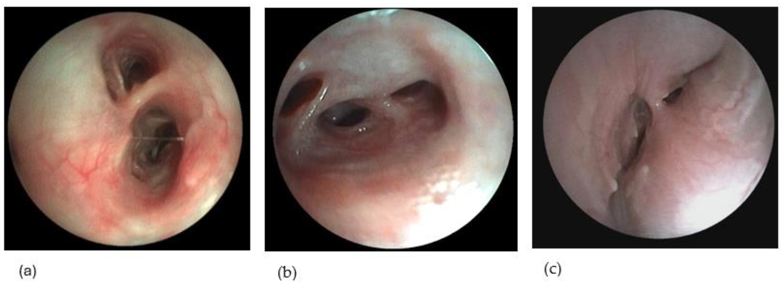 Preprints 157441 g002