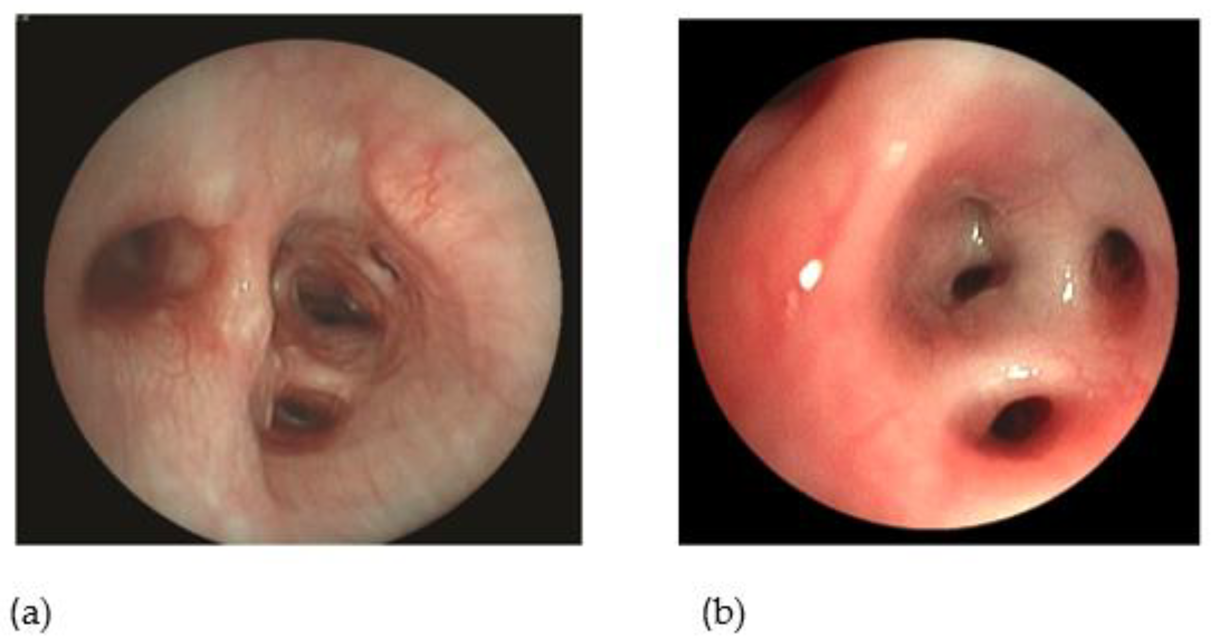 Preprints 157441 g003