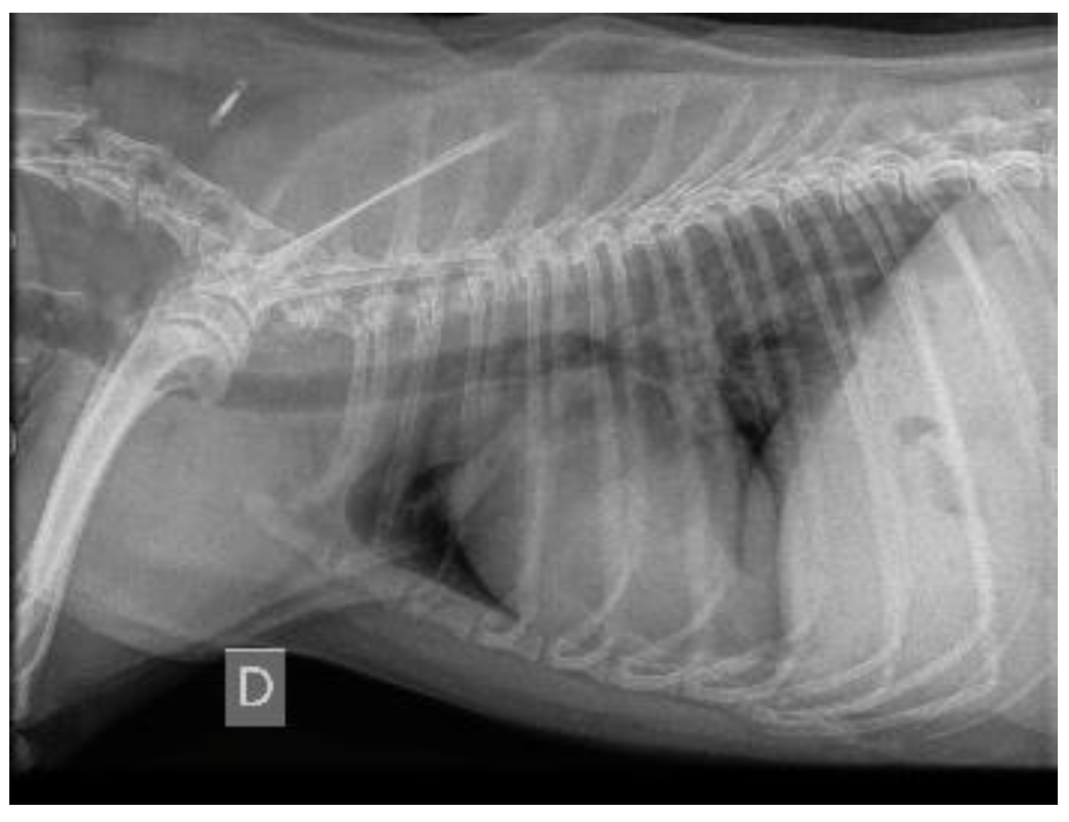 Preprints 157441 g005