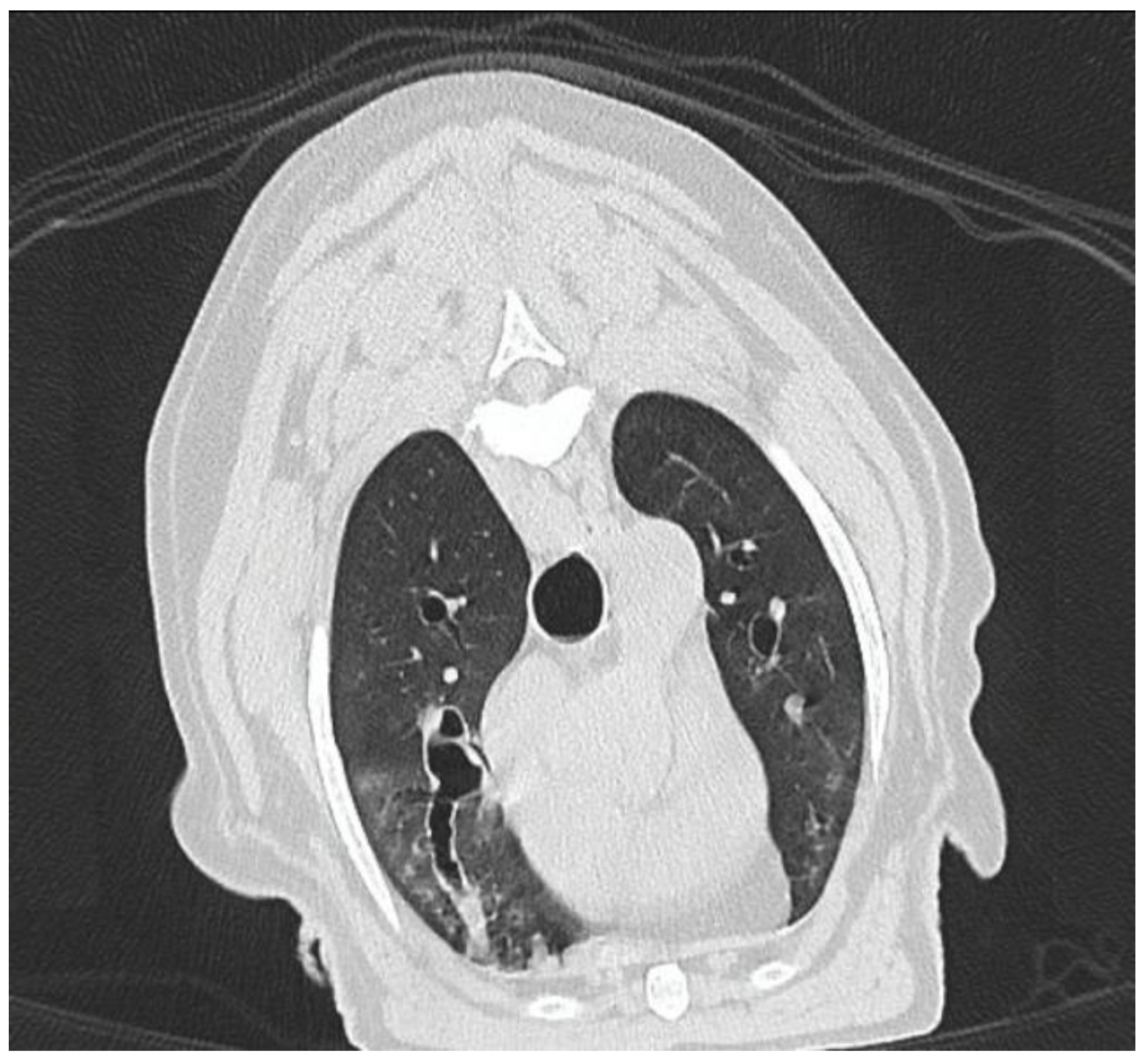 Preprints 157441 g006