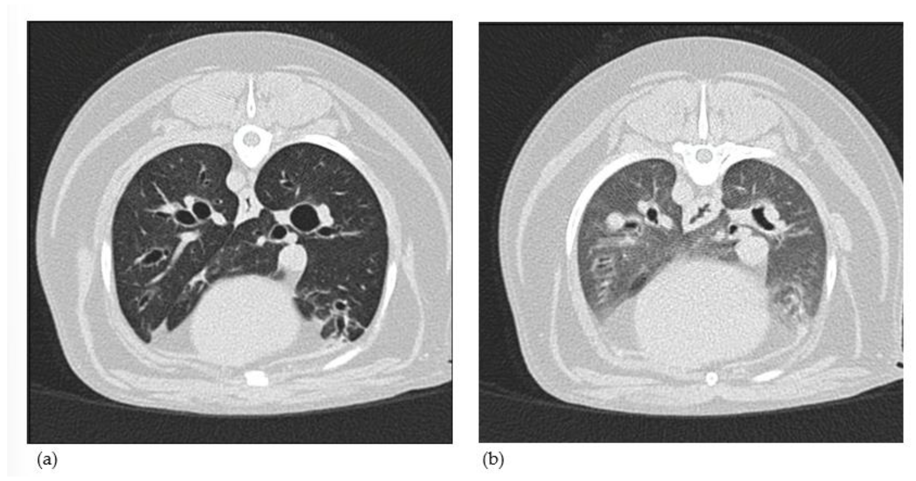Preprints 157441 g007