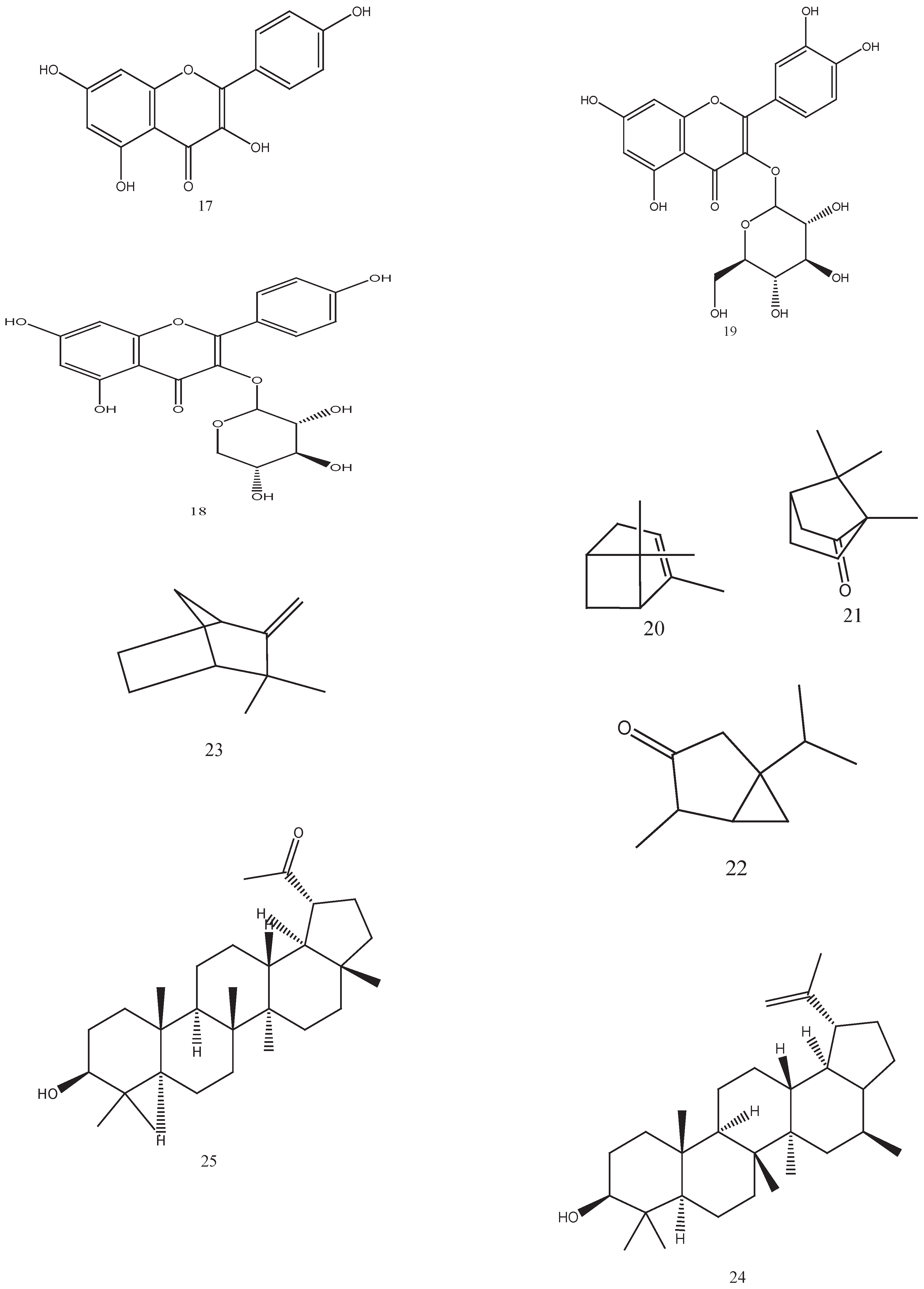 Preprints 217457 g006c