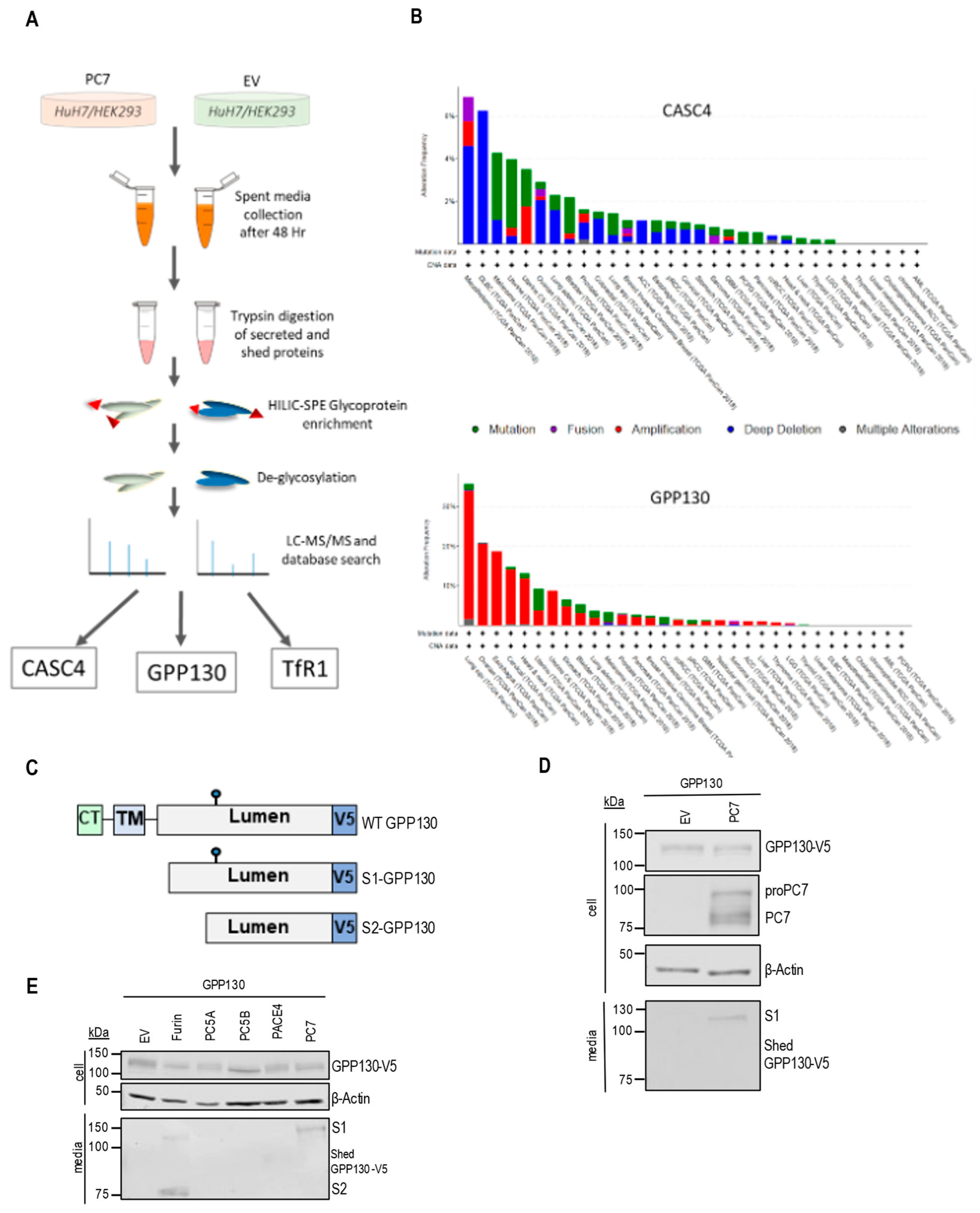 Preprints 139356 g001