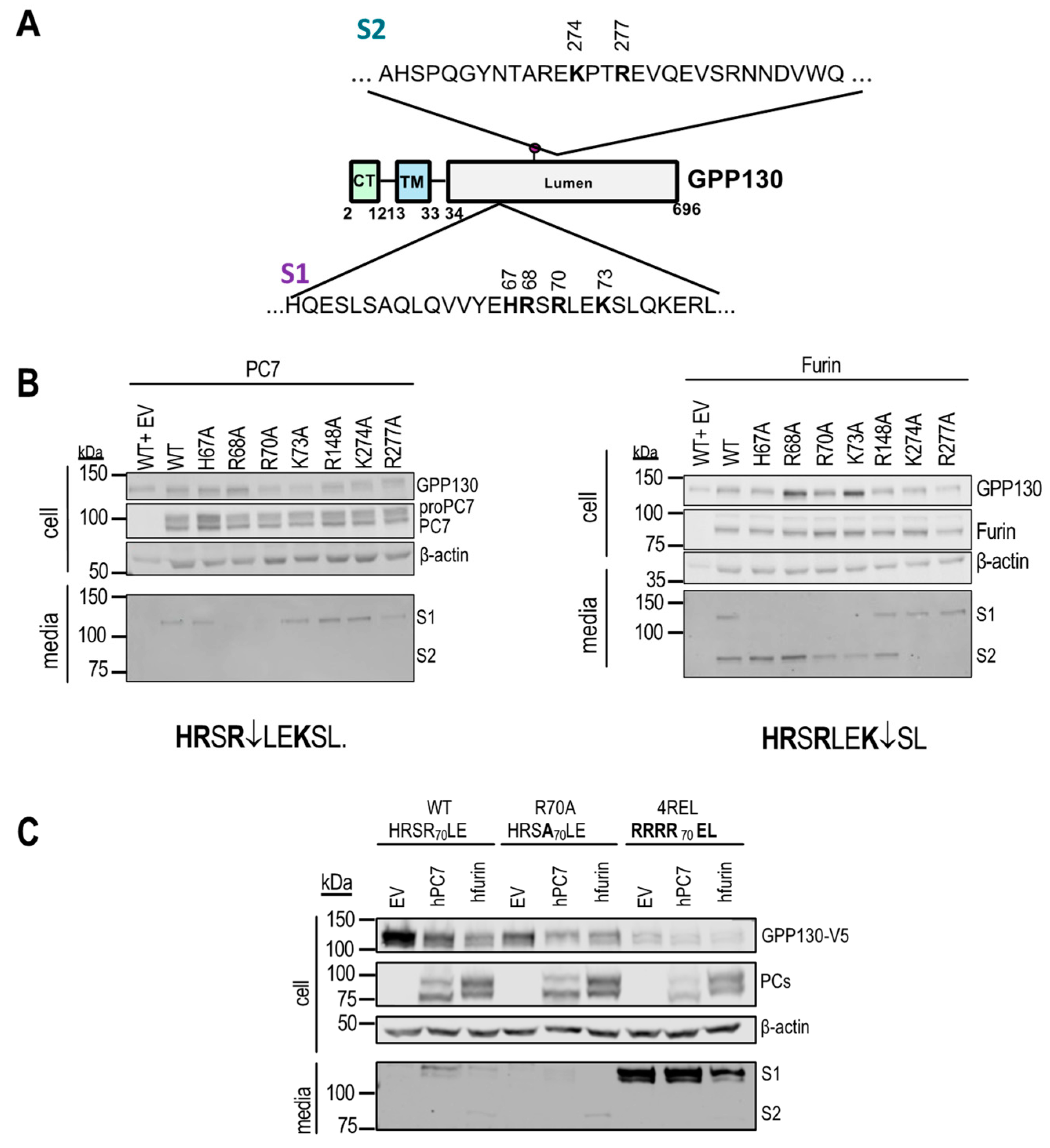 Preprints 139356 g003