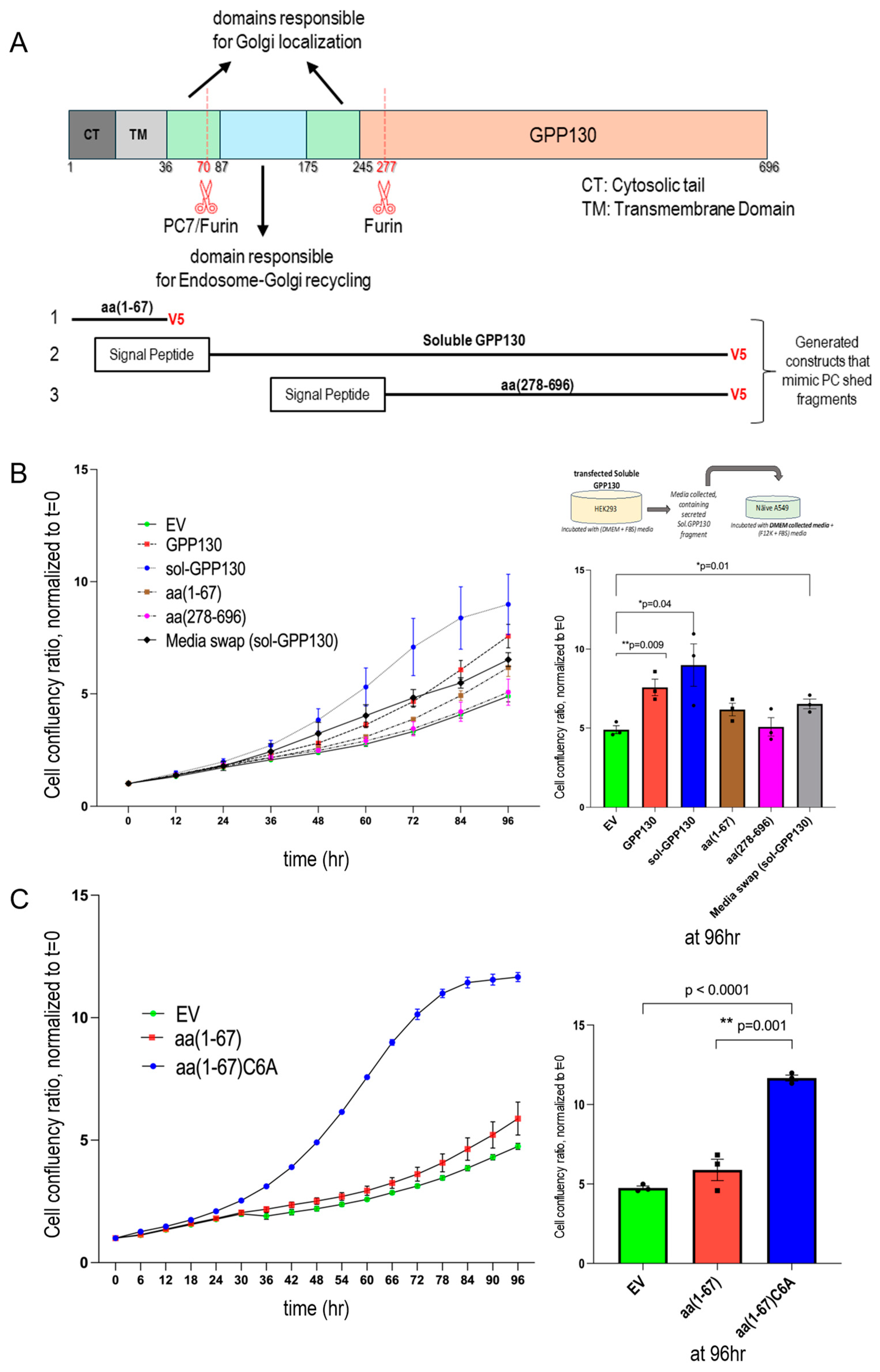 Preprints 139356 g006