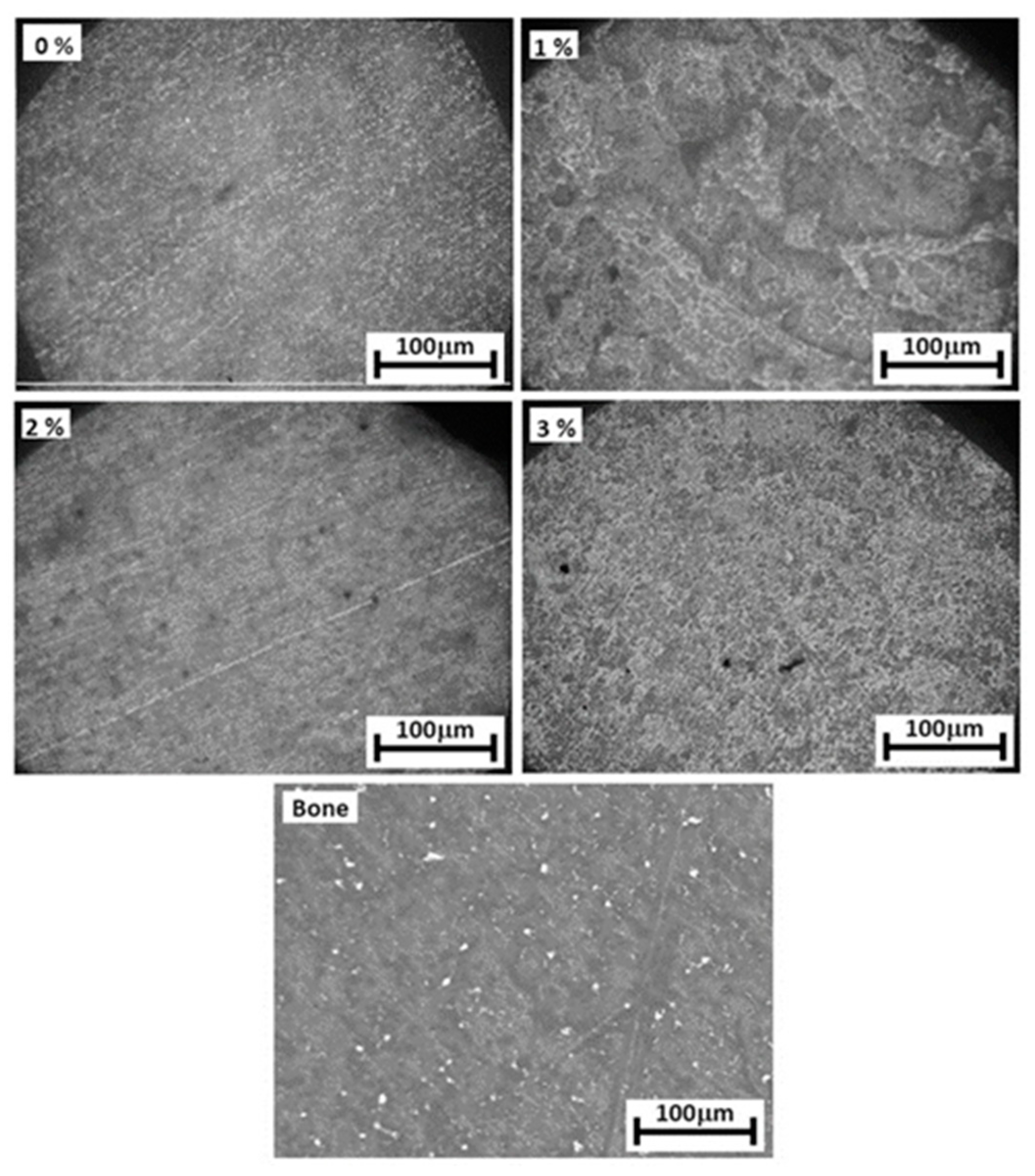 Preprints 137585 g005