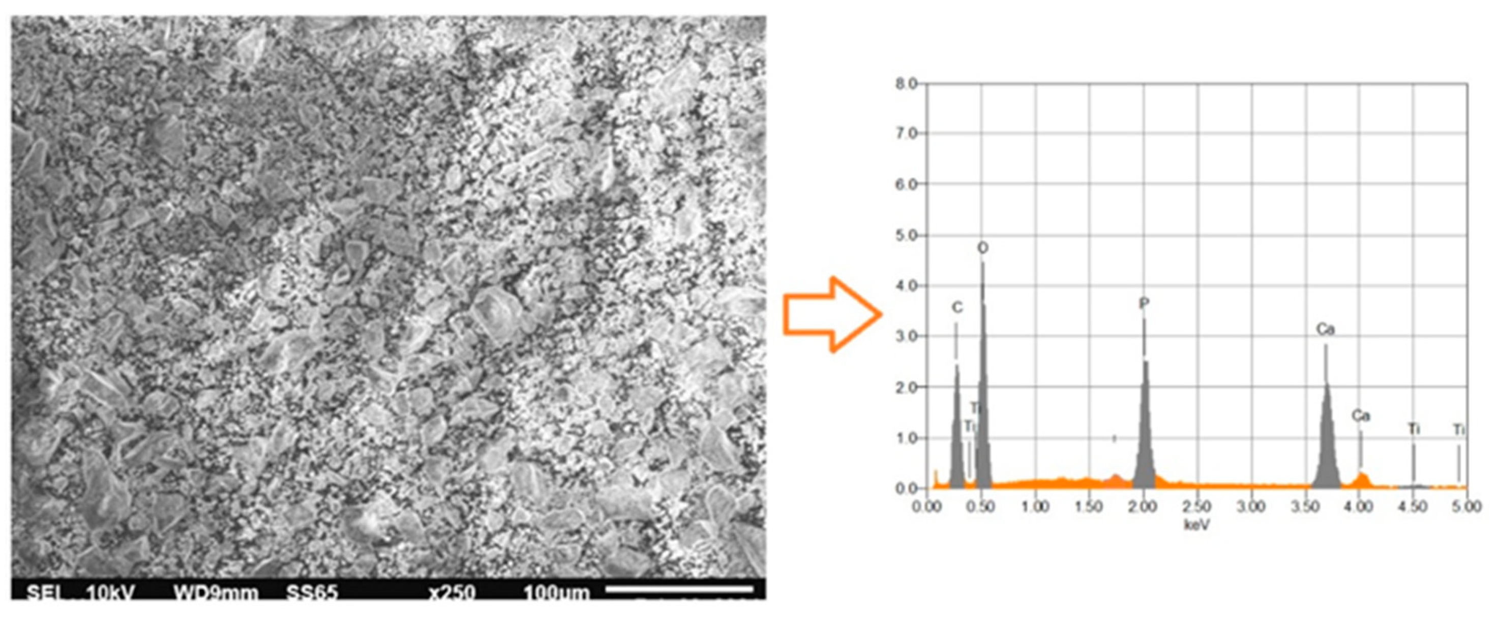 Preprints 137585 g007