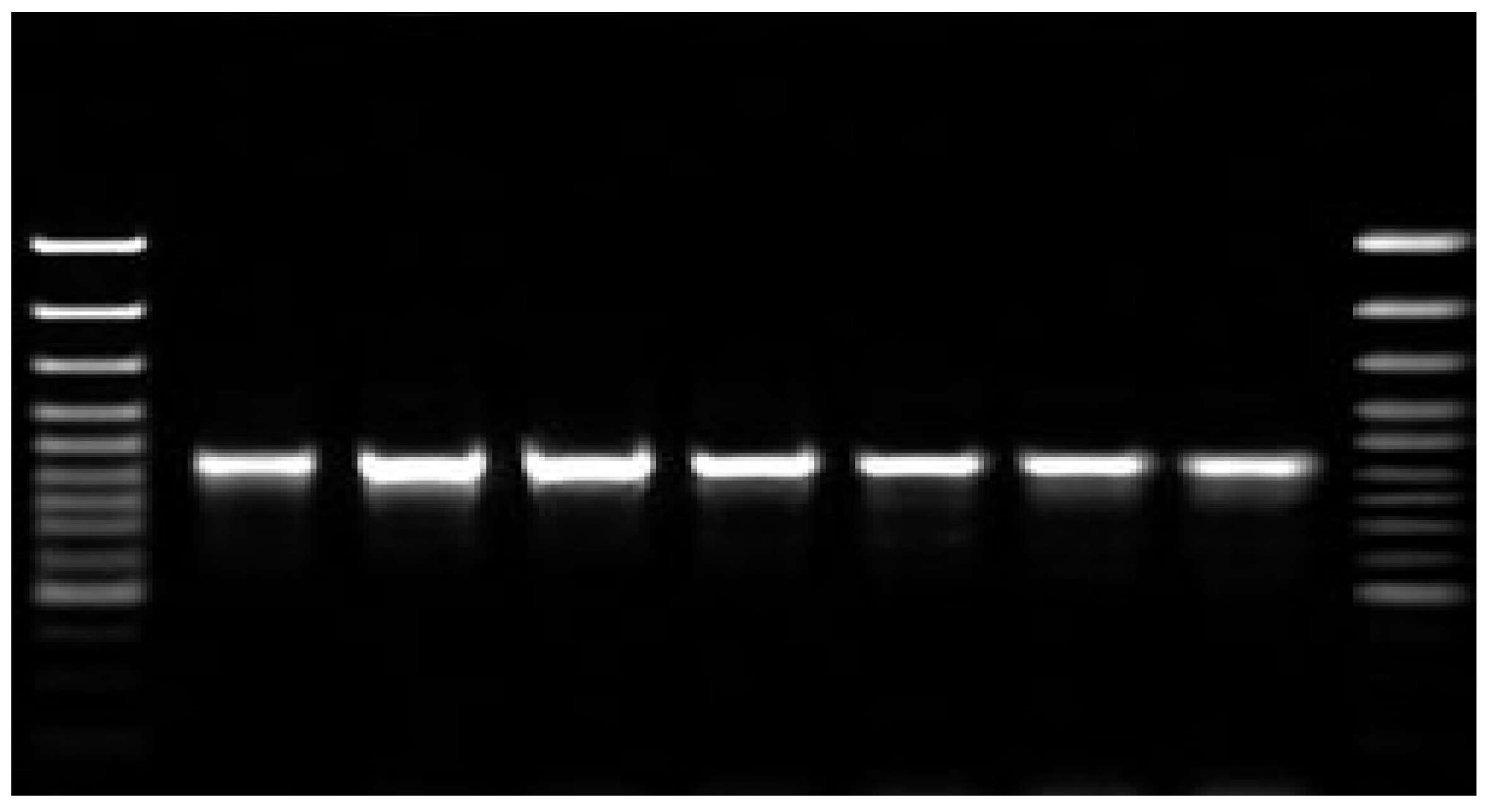 Preprints 108242 g001