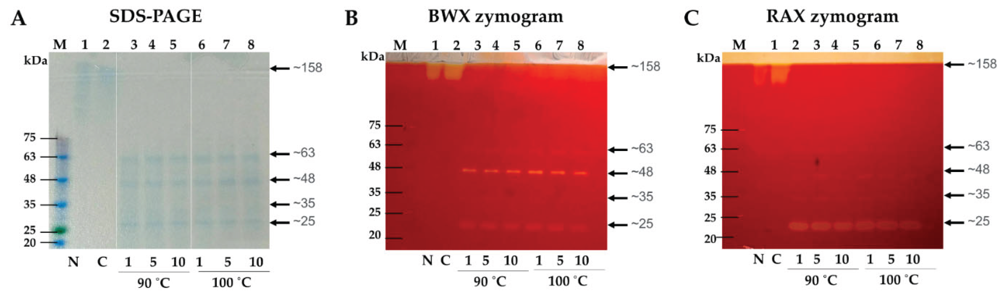 Preprints 178043 g003