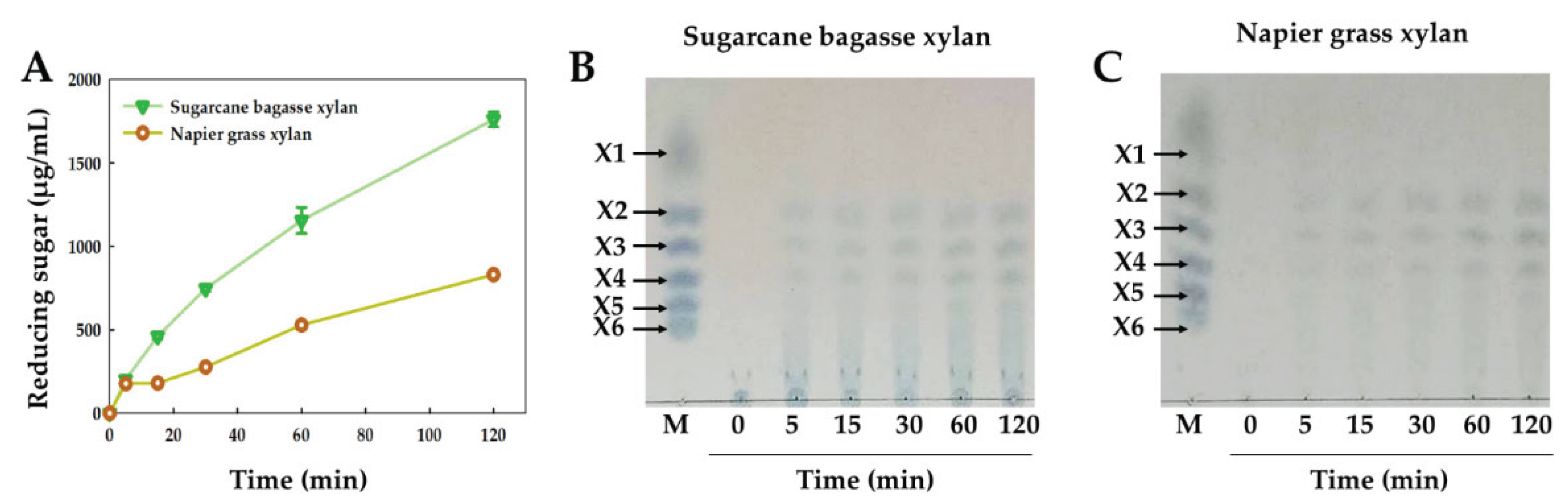 Preprints 178043 g010