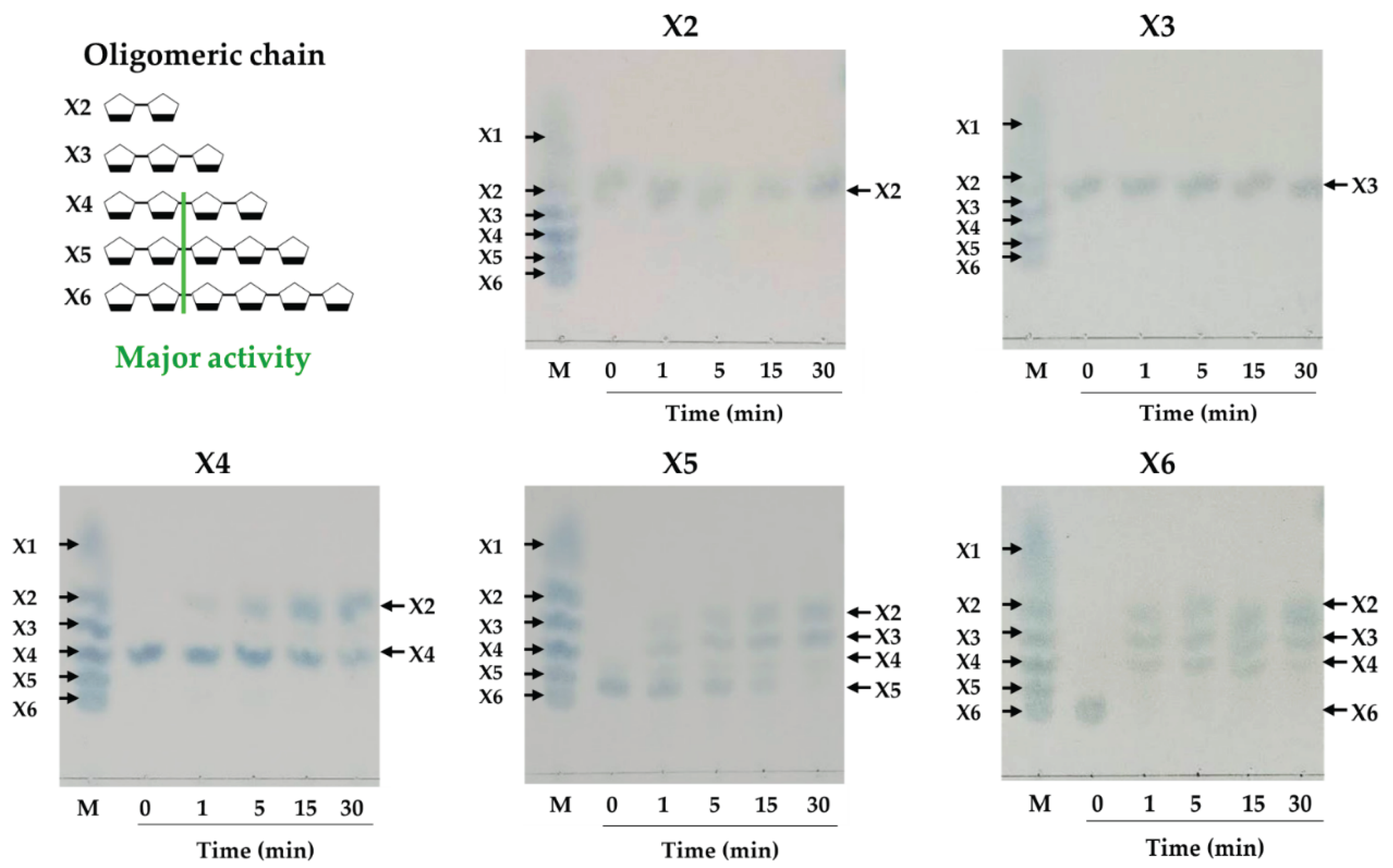 Preprints 178043 g011