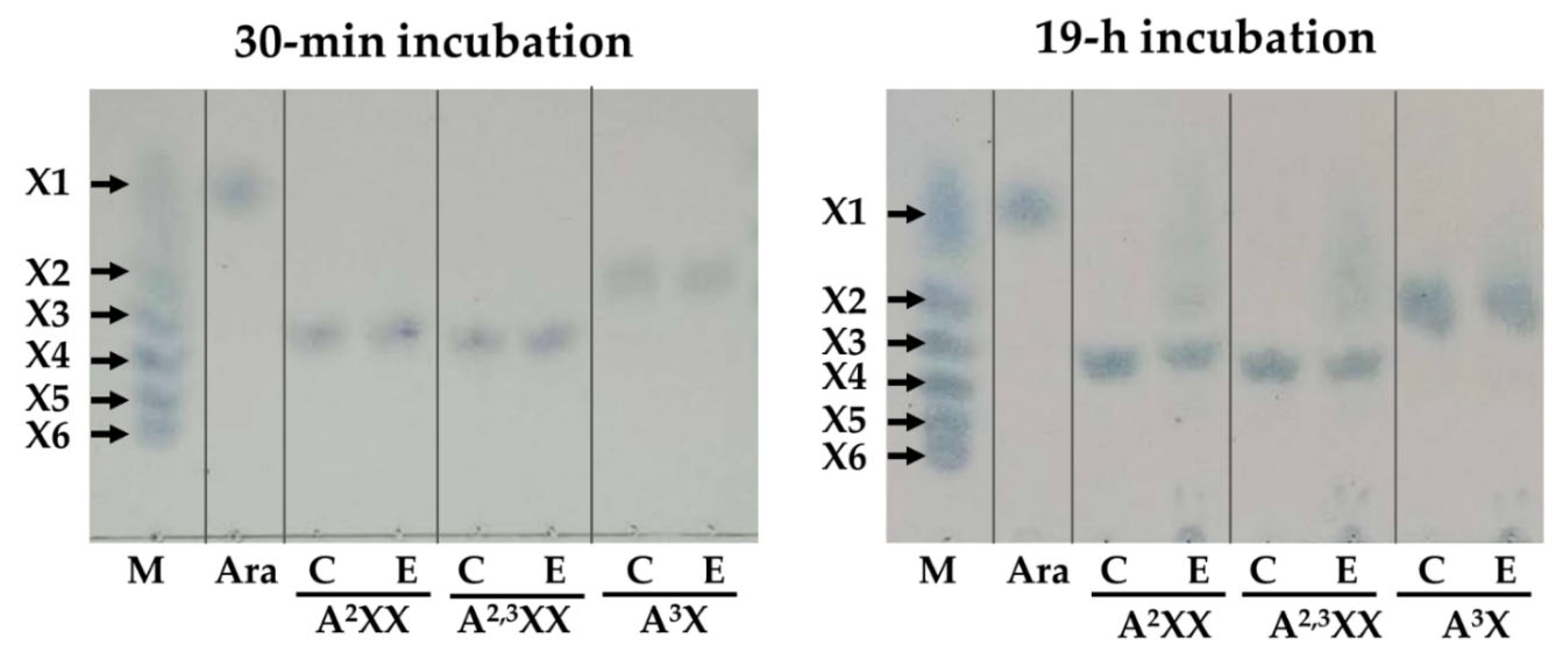 Preprints 178043 g012