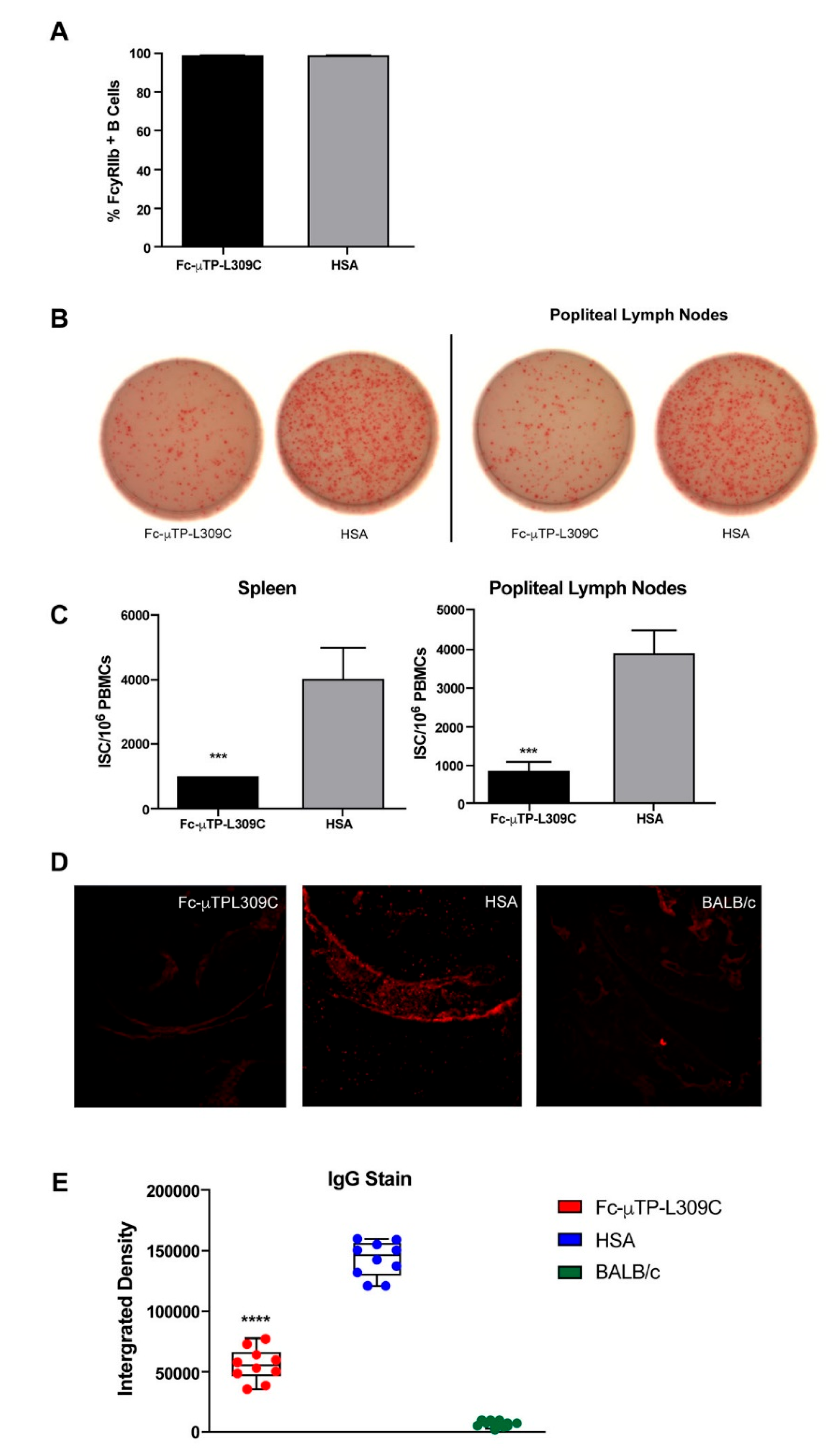 Preprints 191998 g002