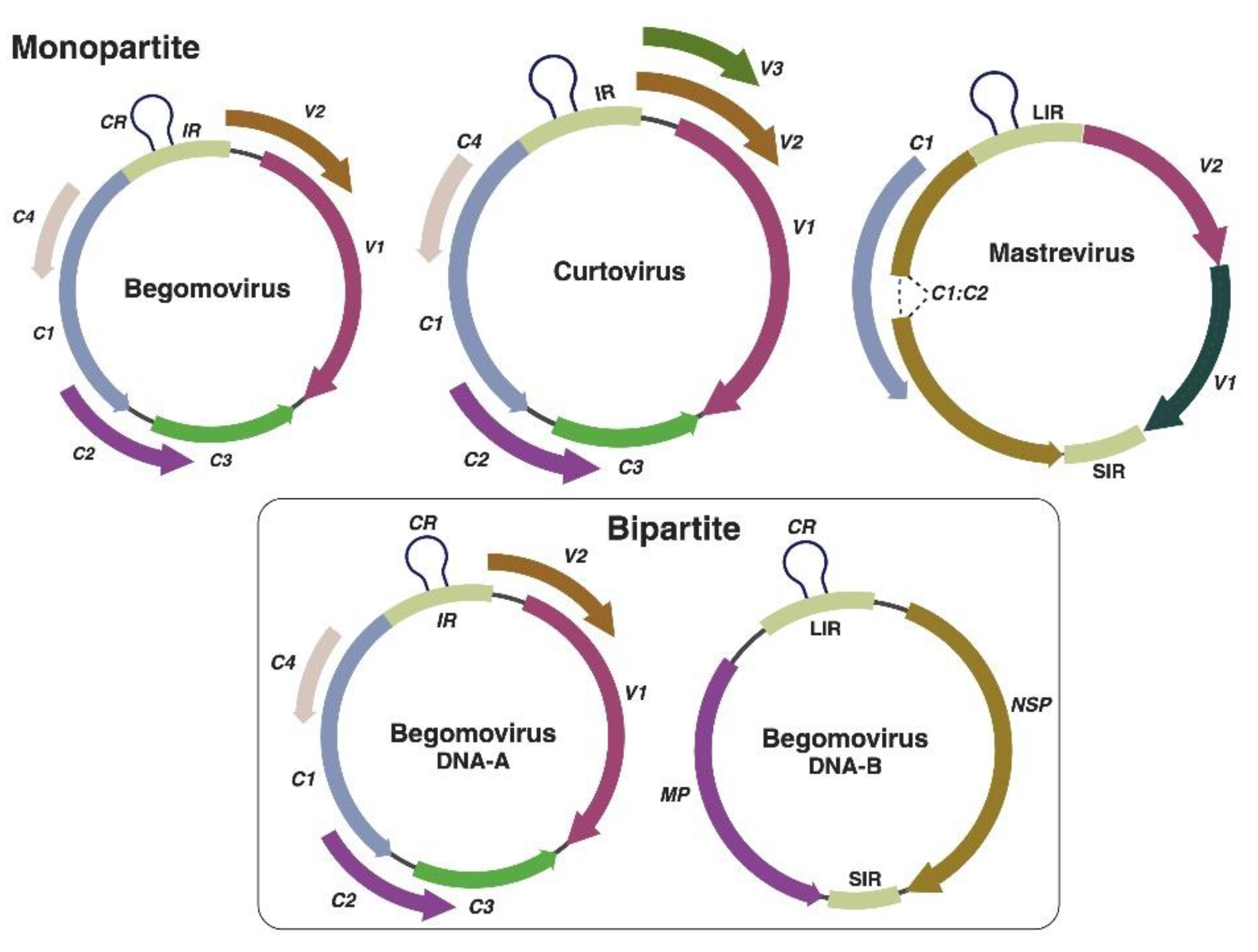 Preprints 153705 g001