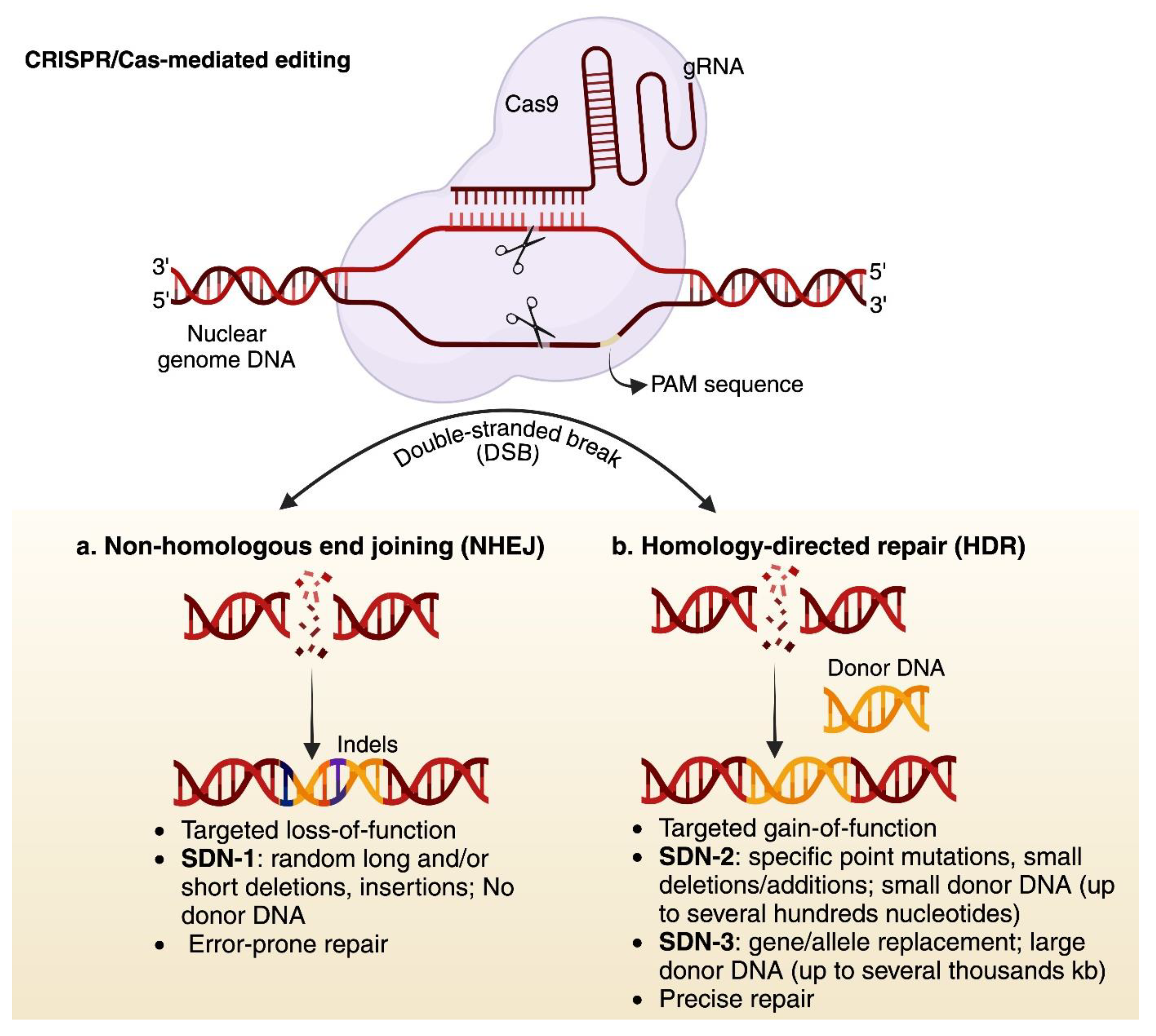 Preprints 153705 g002