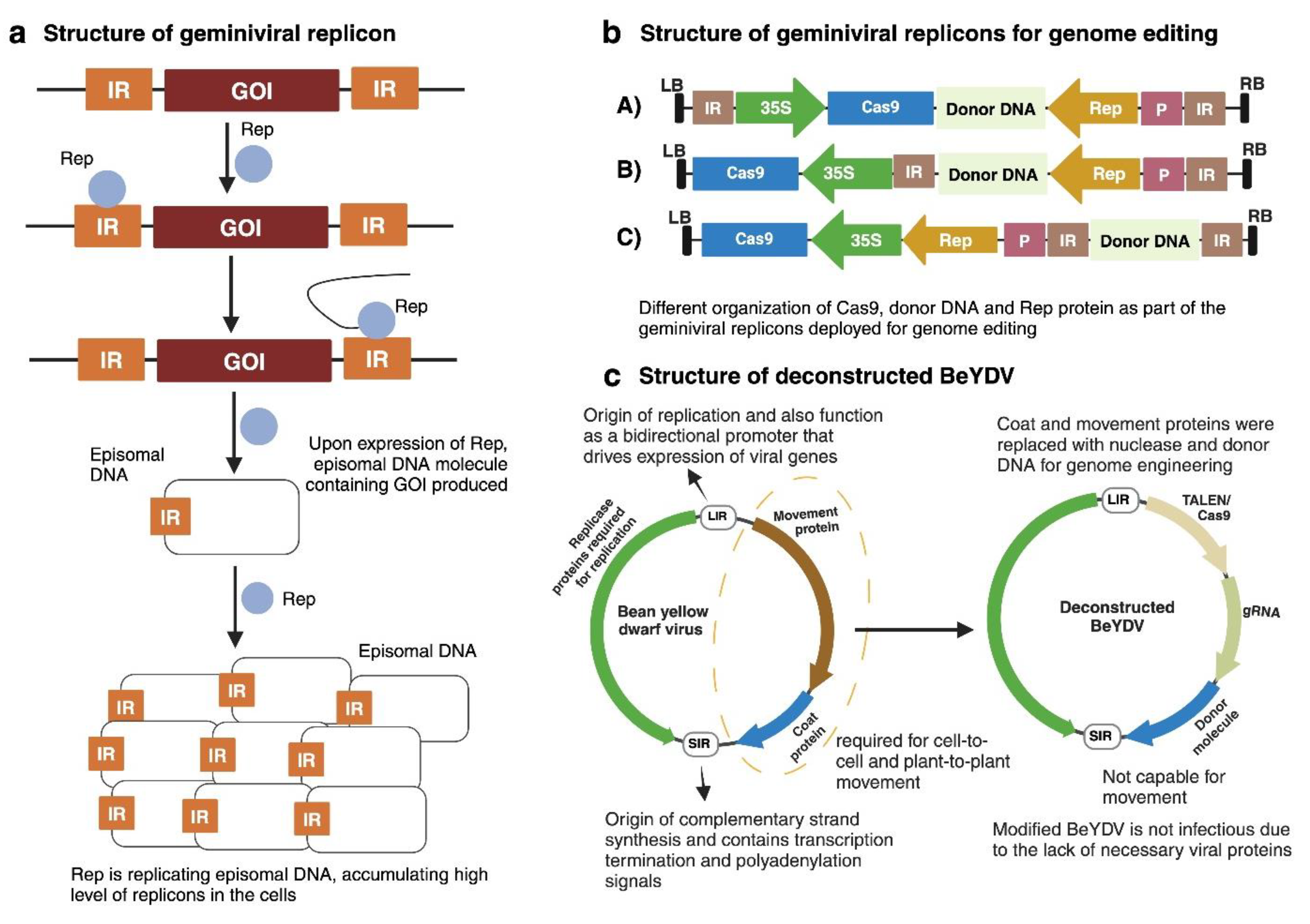 Preprints 153705 g003