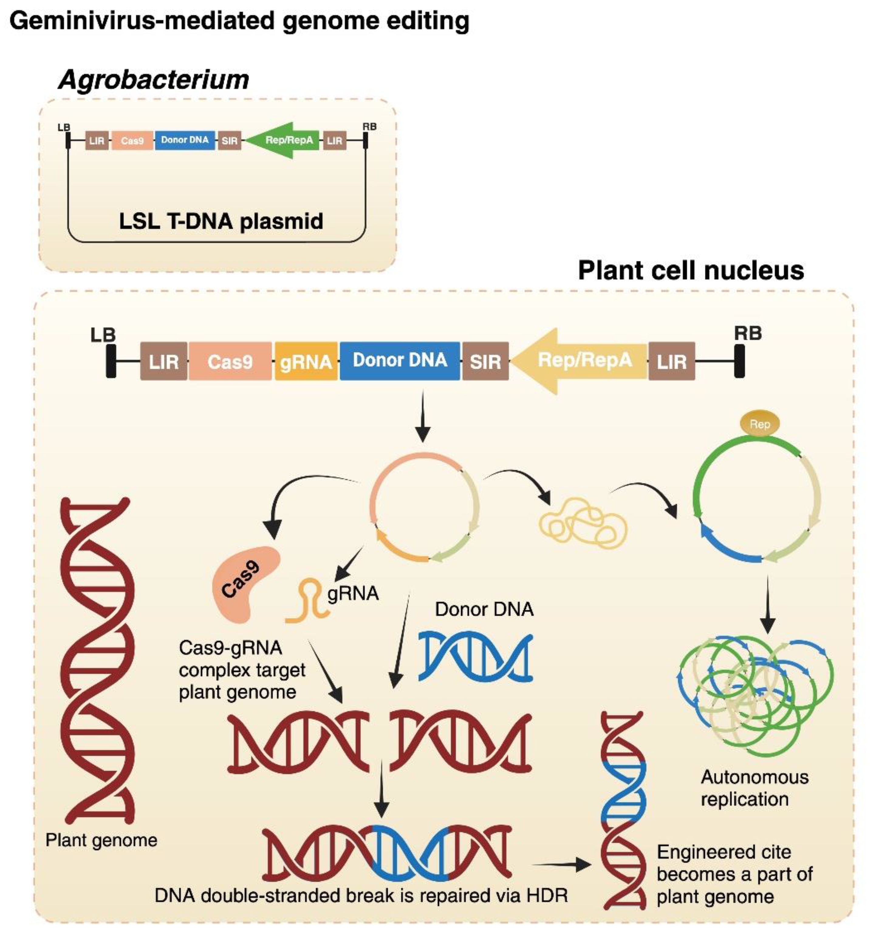 Preprints 153705 g004
