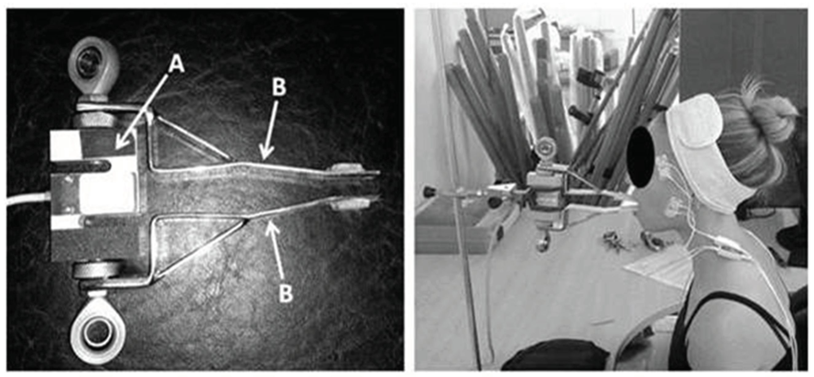 Preprints 179914 g001