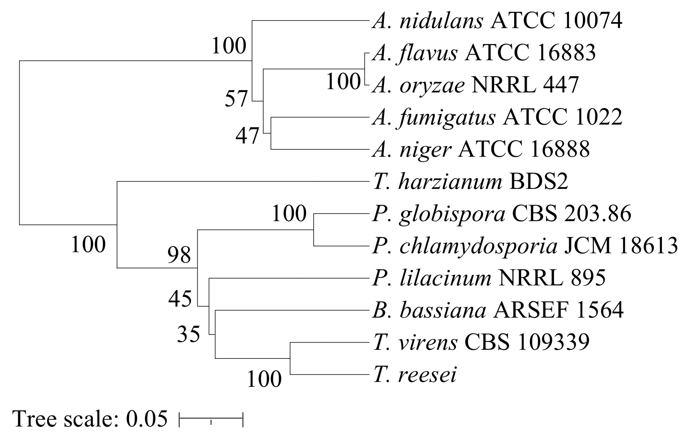 Preprints 208367 g001 Preprints 208367 g001