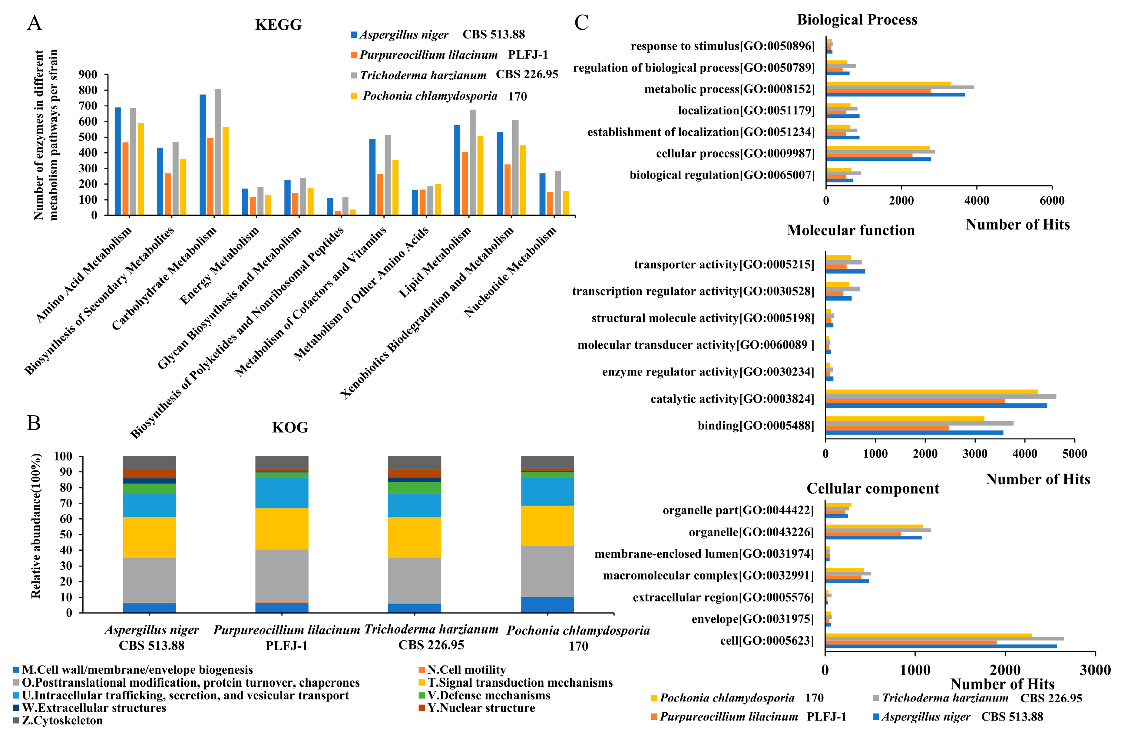 Preprints 208367 g003 Preprints 208367 g003