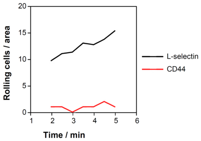 Preprints 217825 g008 Preprints 217825 g008