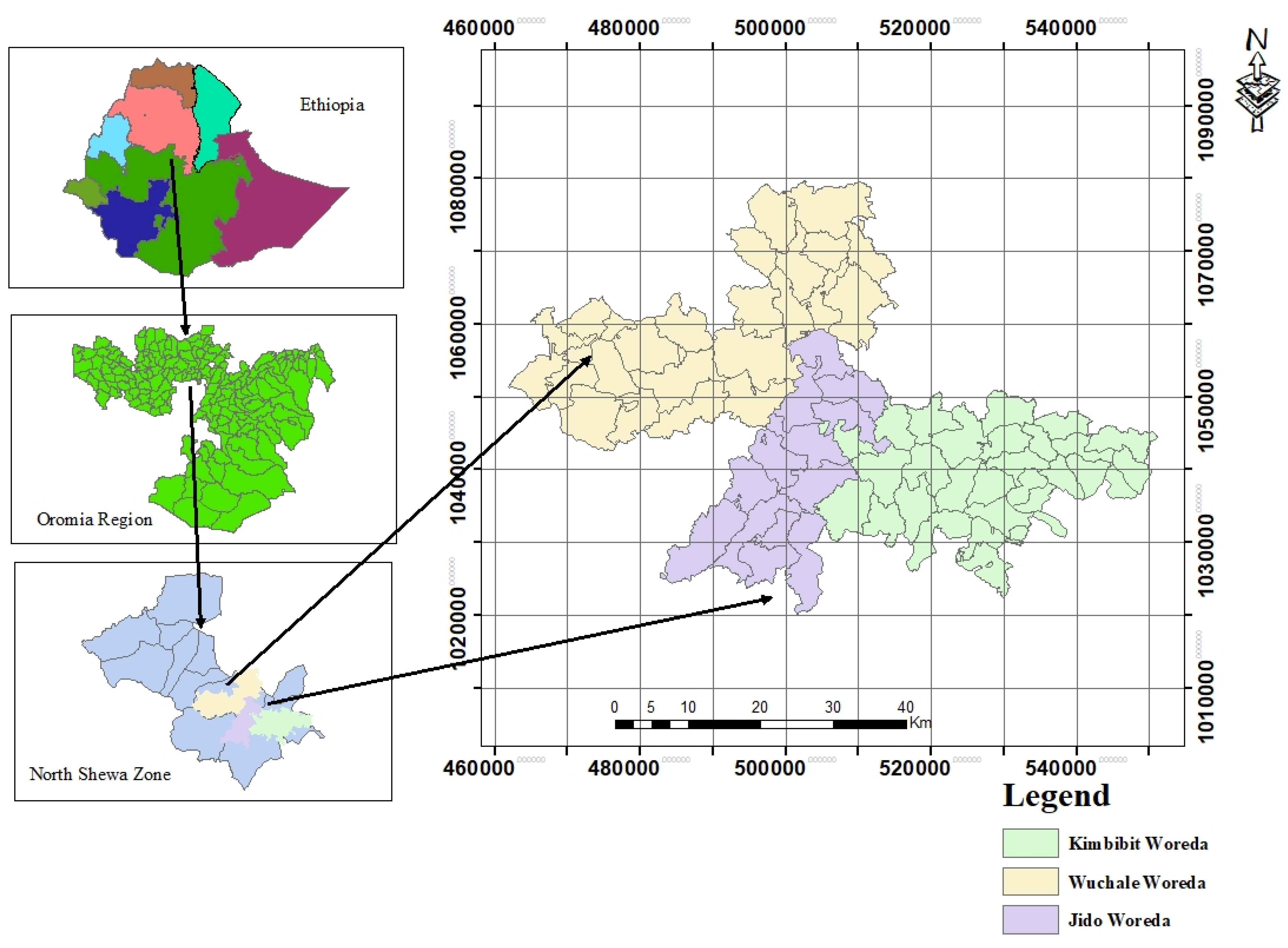 Preprints 143177 g001