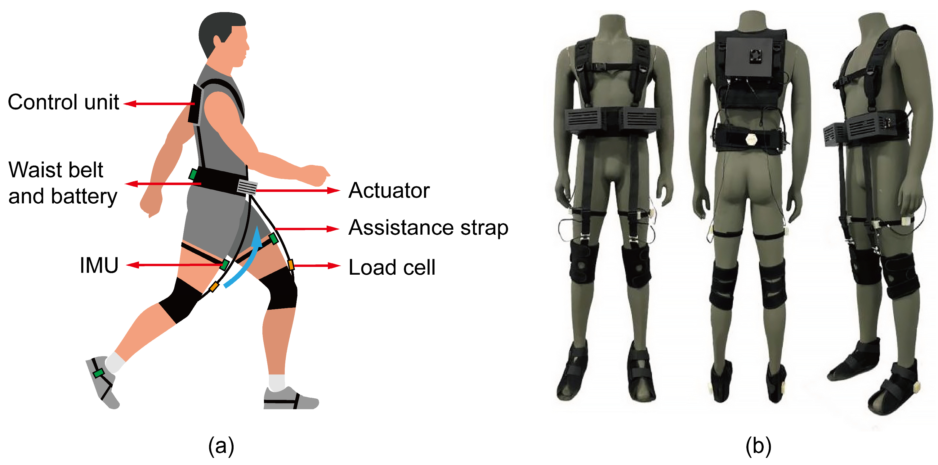 Preprints 206397 g001