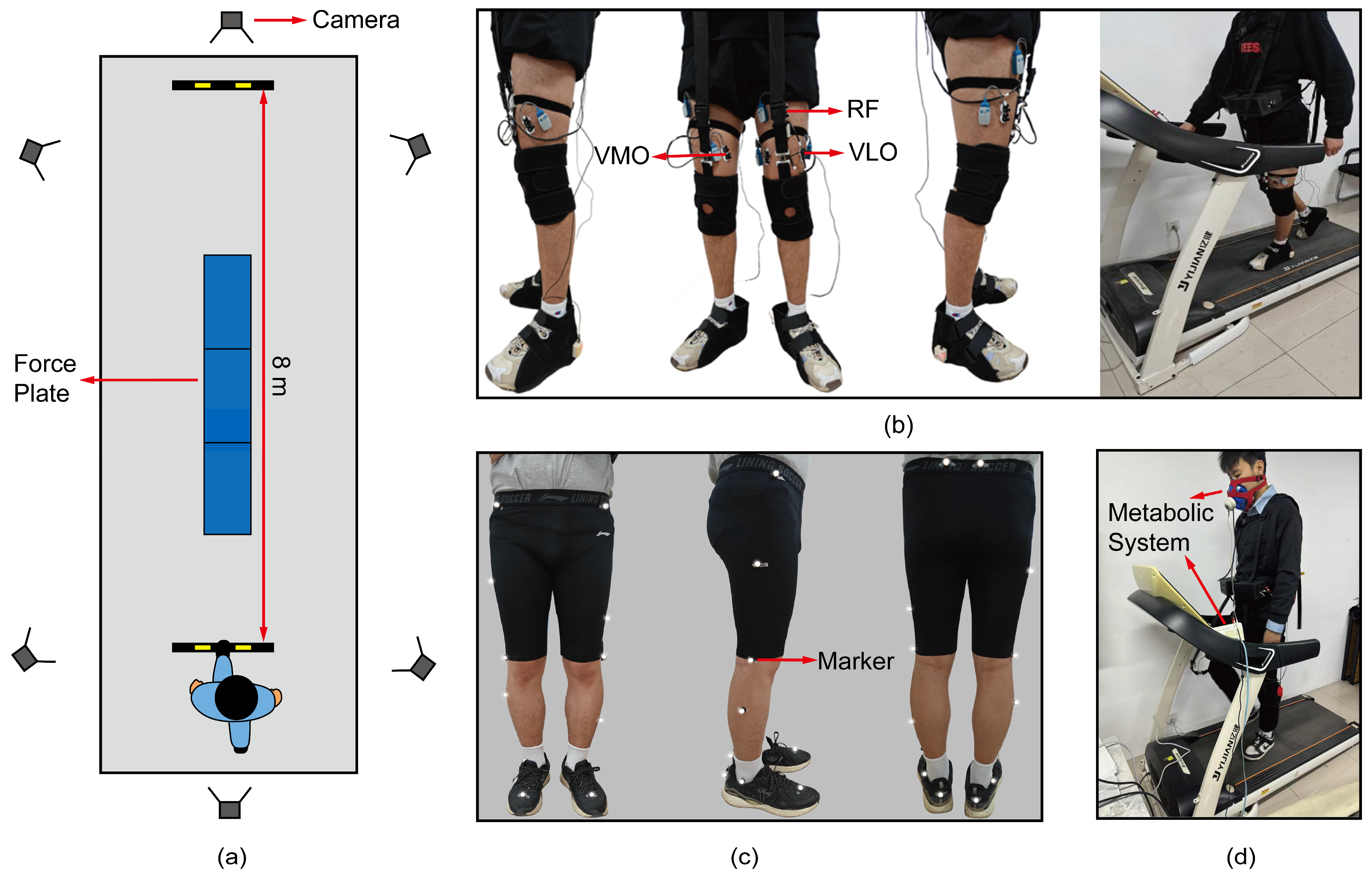 Preprints 206397 g002