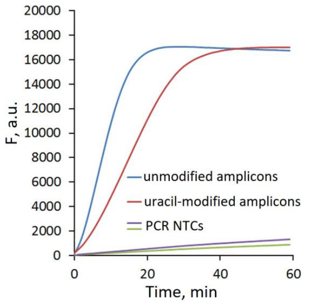 Preprints 217744 g007 Preprints 217744 g007