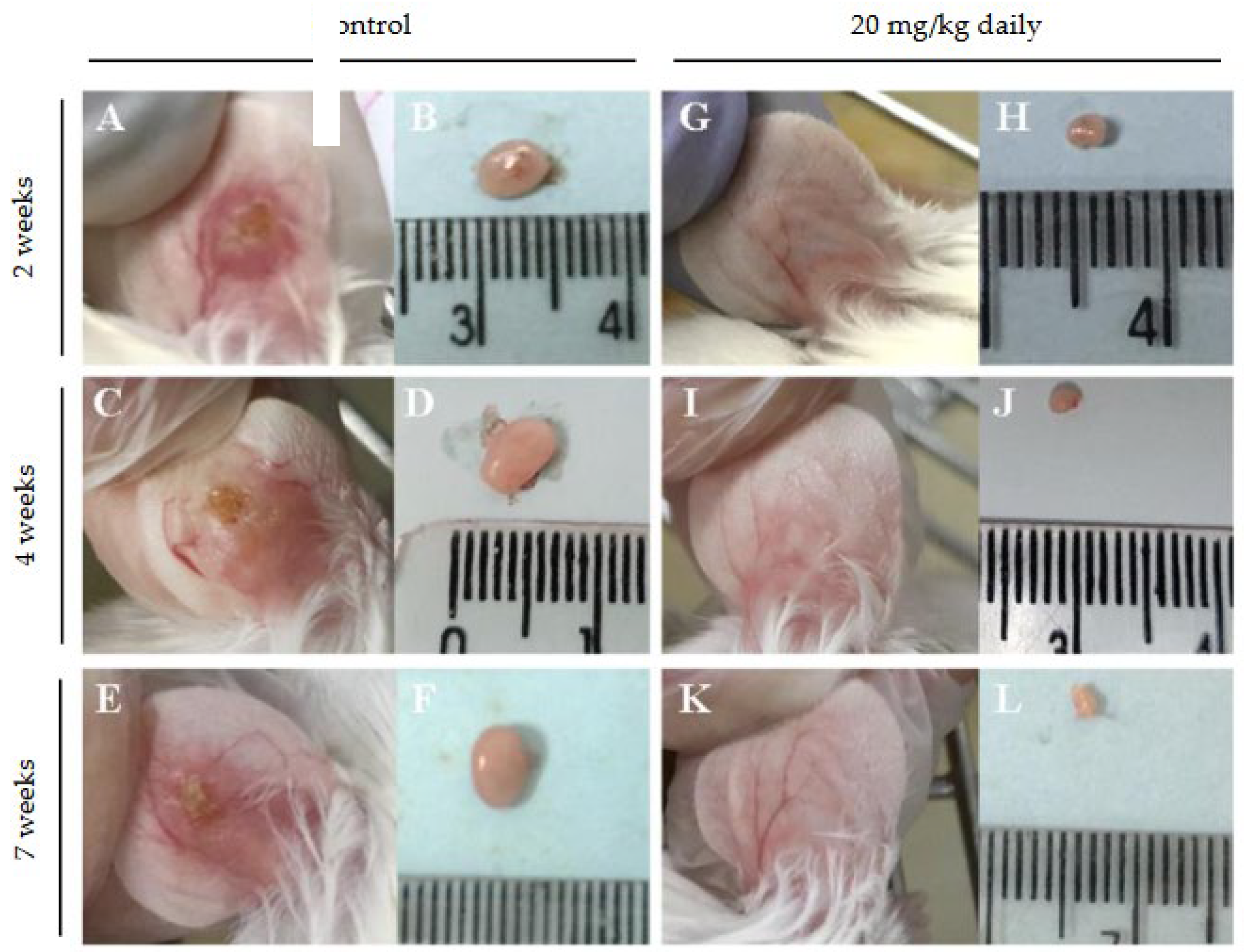 Preprints 110712 g007