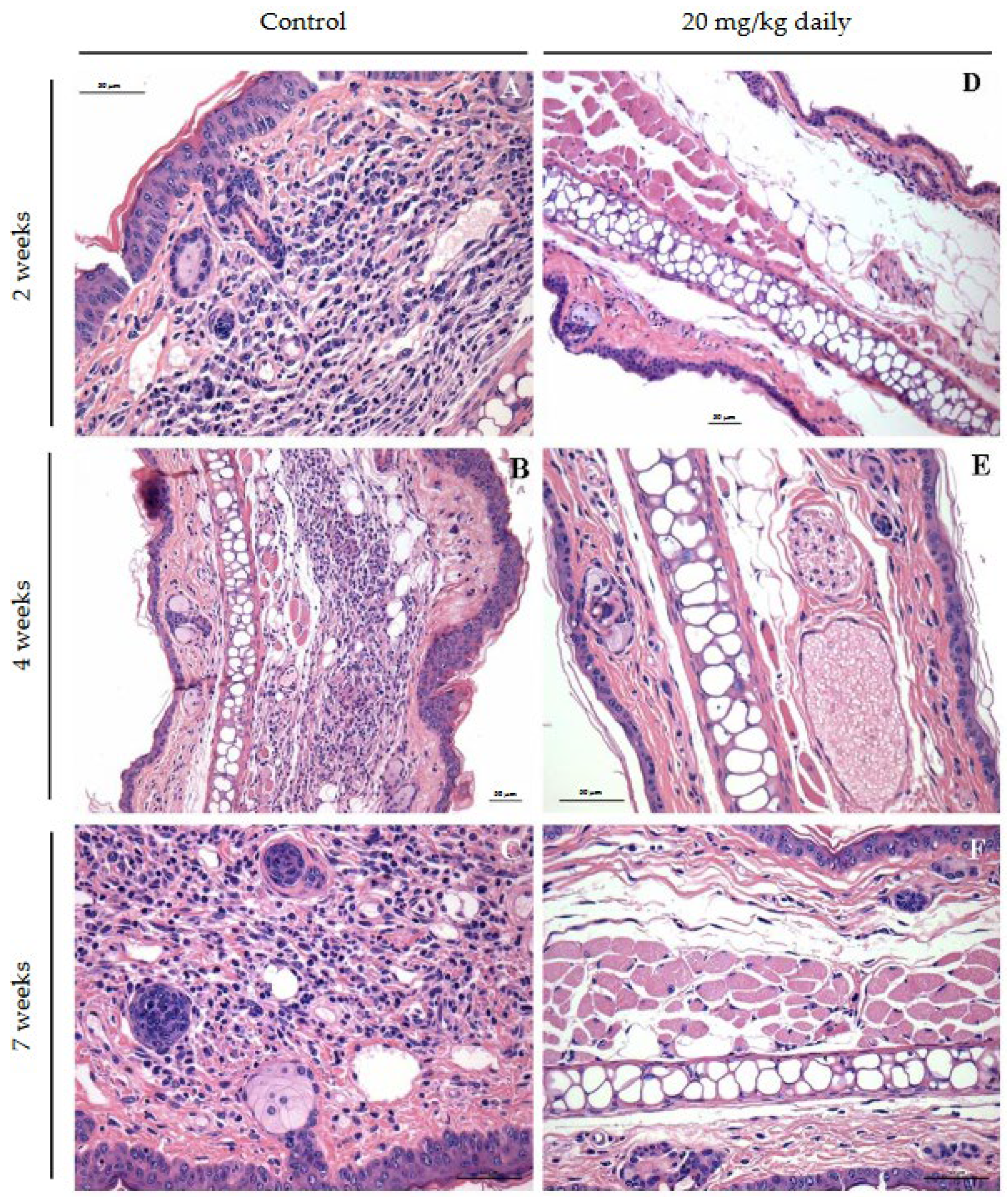 Preprints 110712 g008