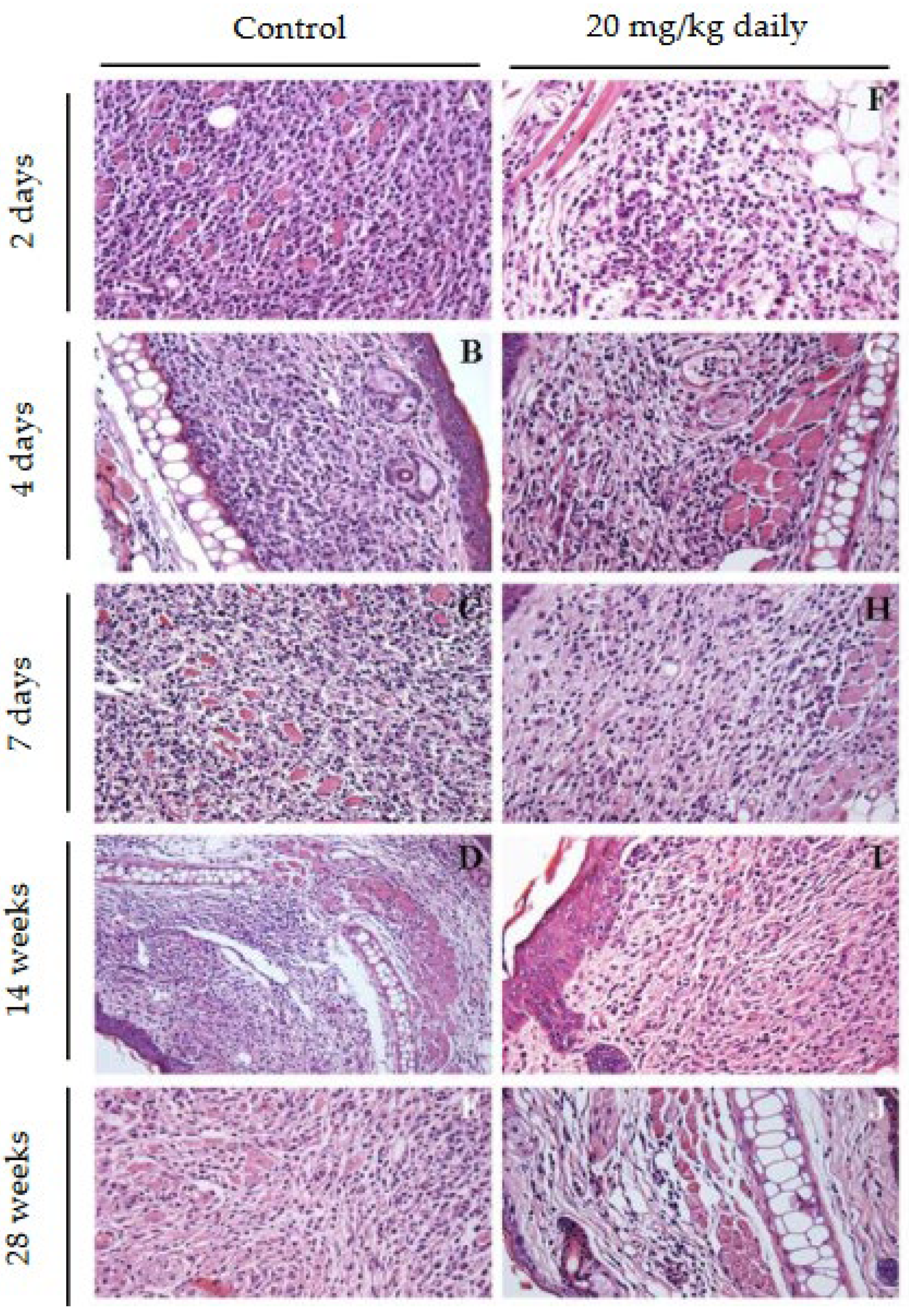 Preprints 110712 g010