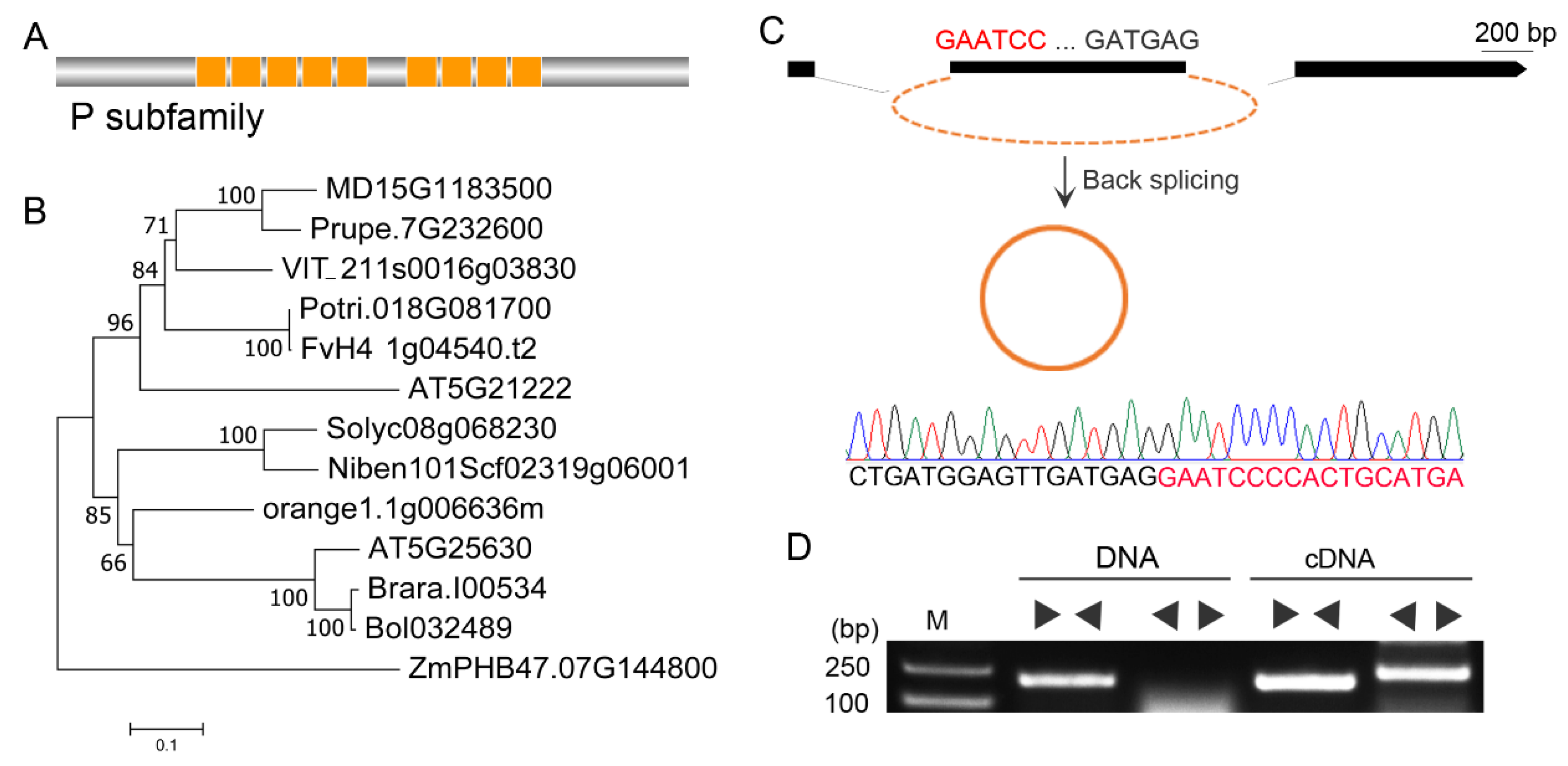 Preprints 71416 g001