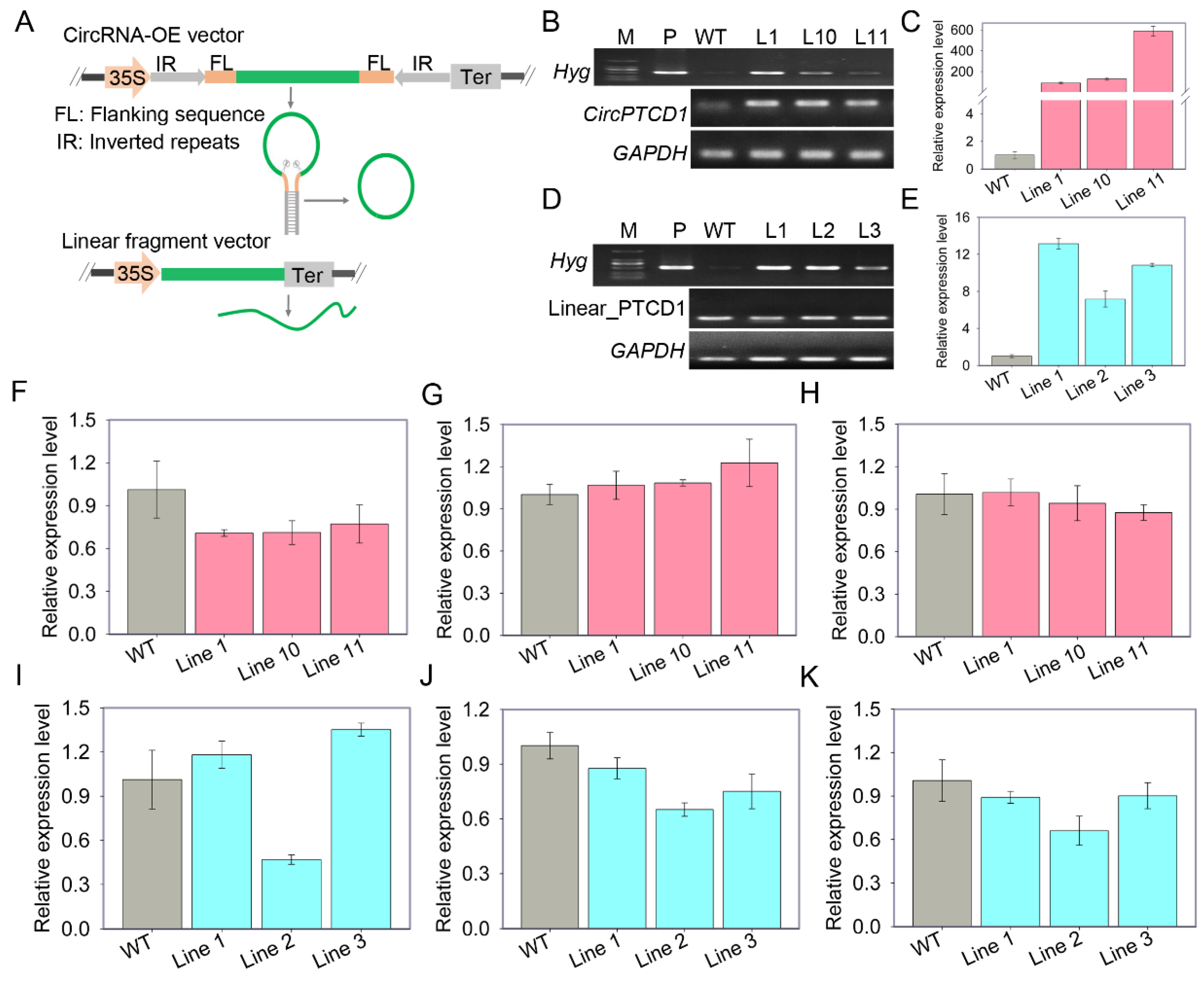 Preprints 71416 g003