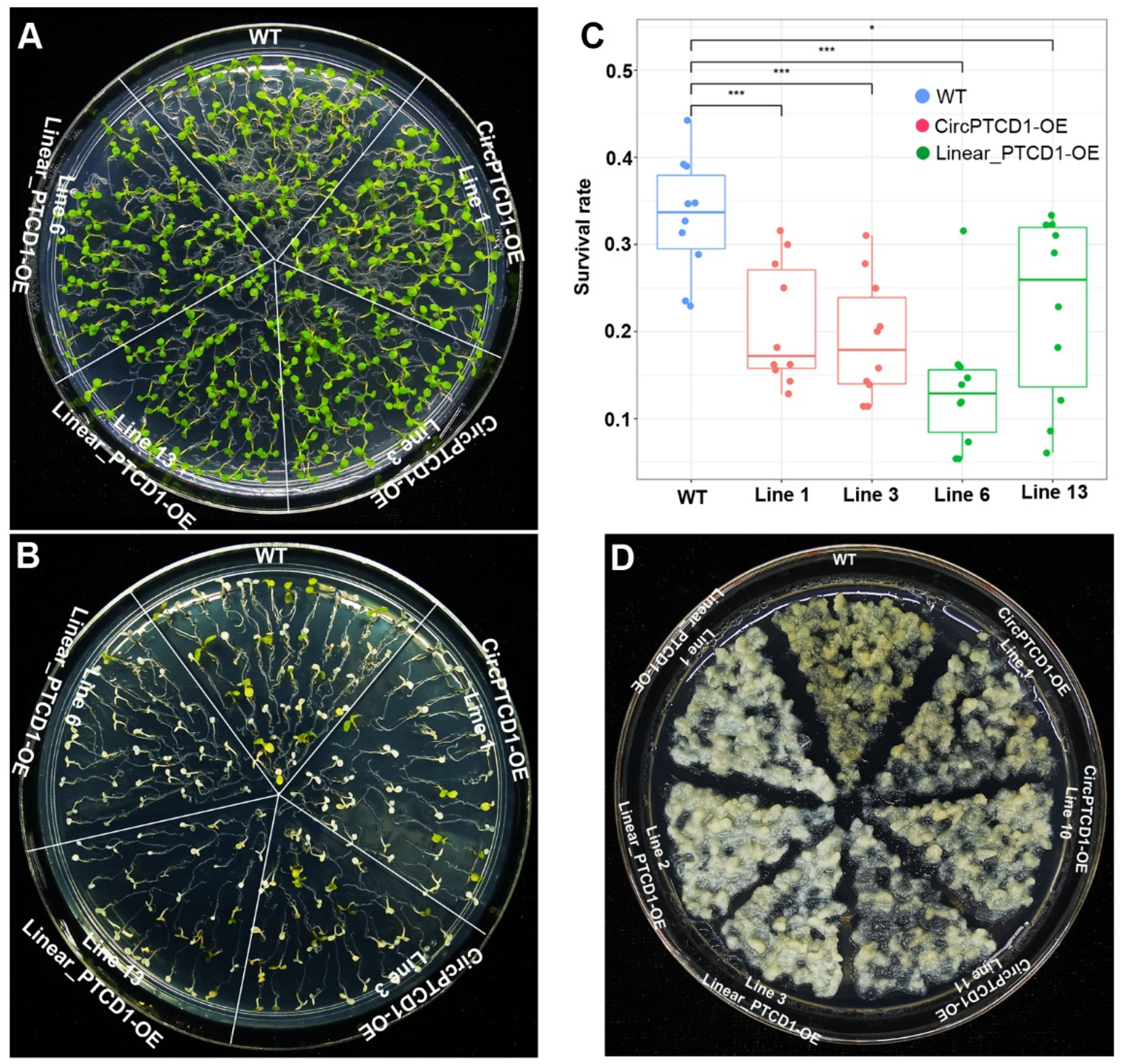 Preprints 71416 g005