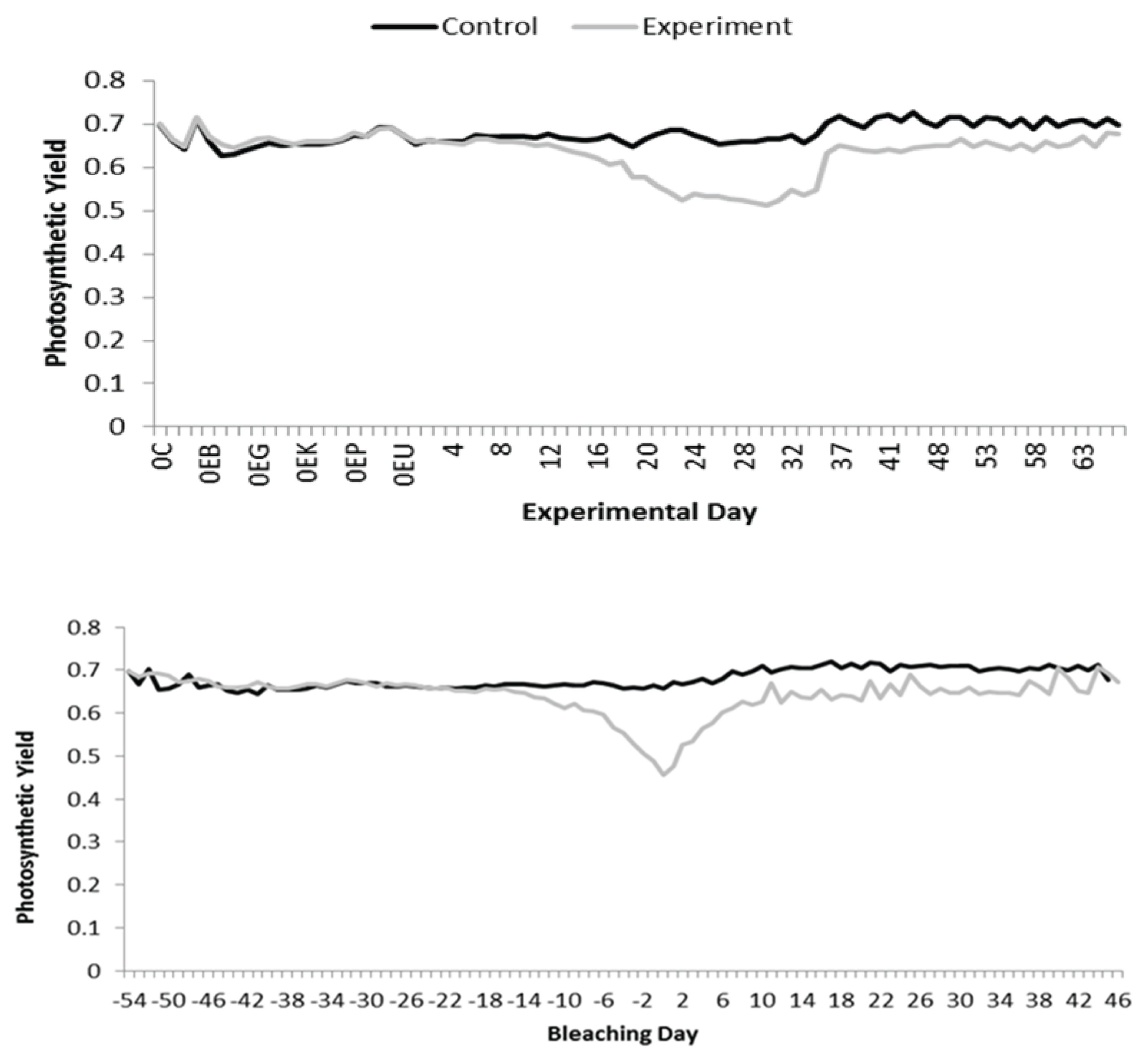 Preprints 200993 g003a