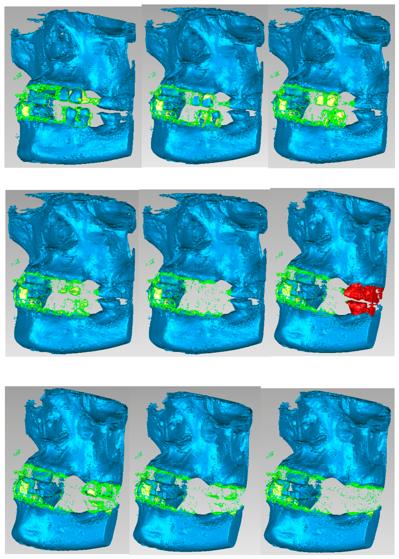 Preprints 228482 g008