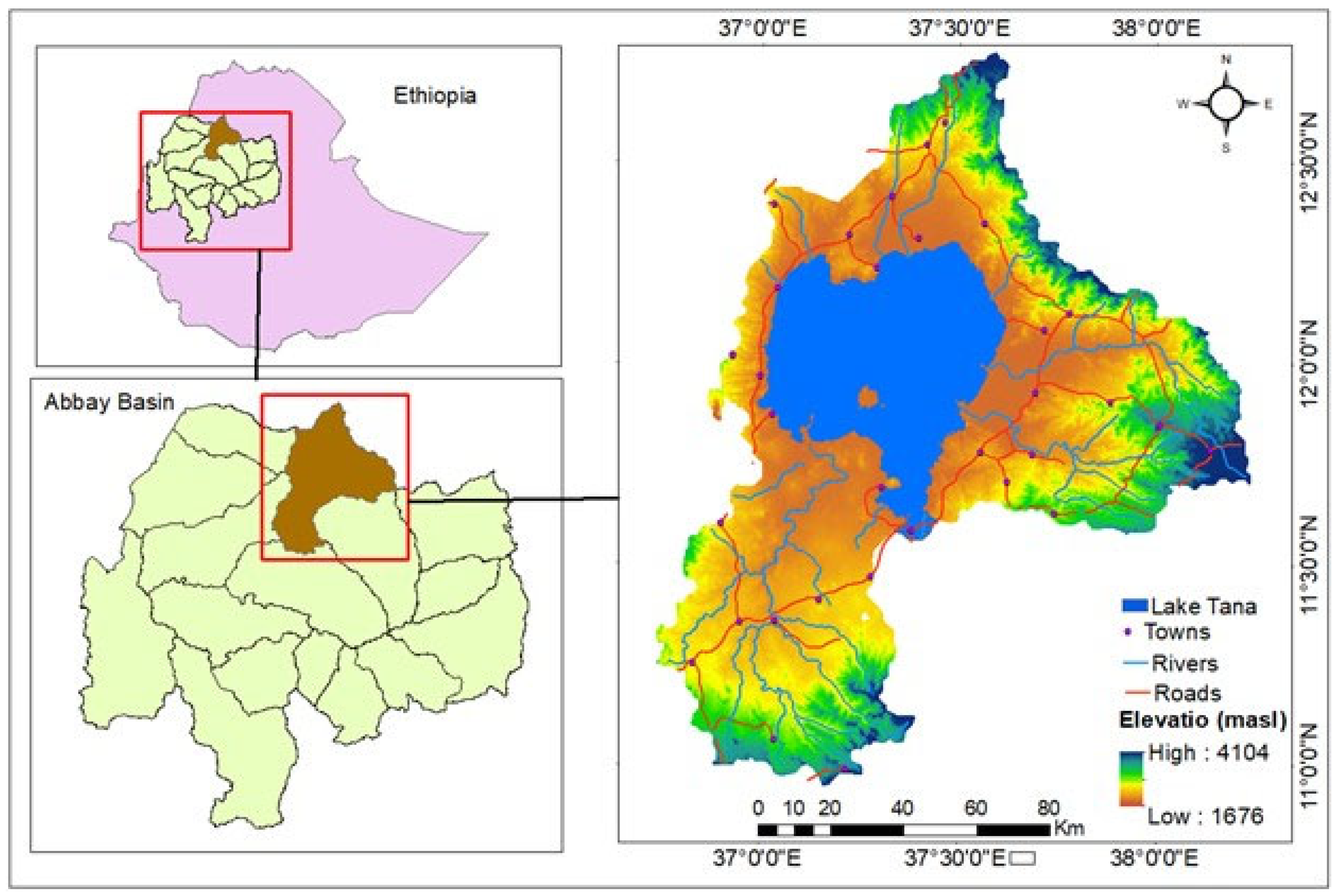 Preprints 138591 g001